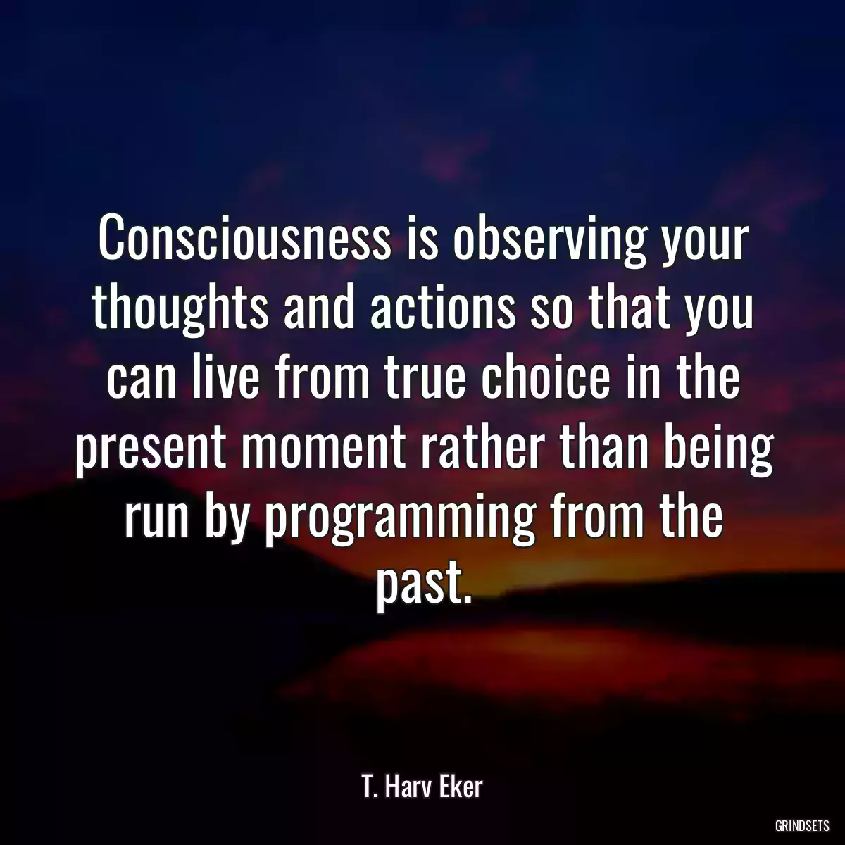 Consciousness is observing your thoughts and actions so that you can live from true choice in the present moment rather than being run by programming from the past.