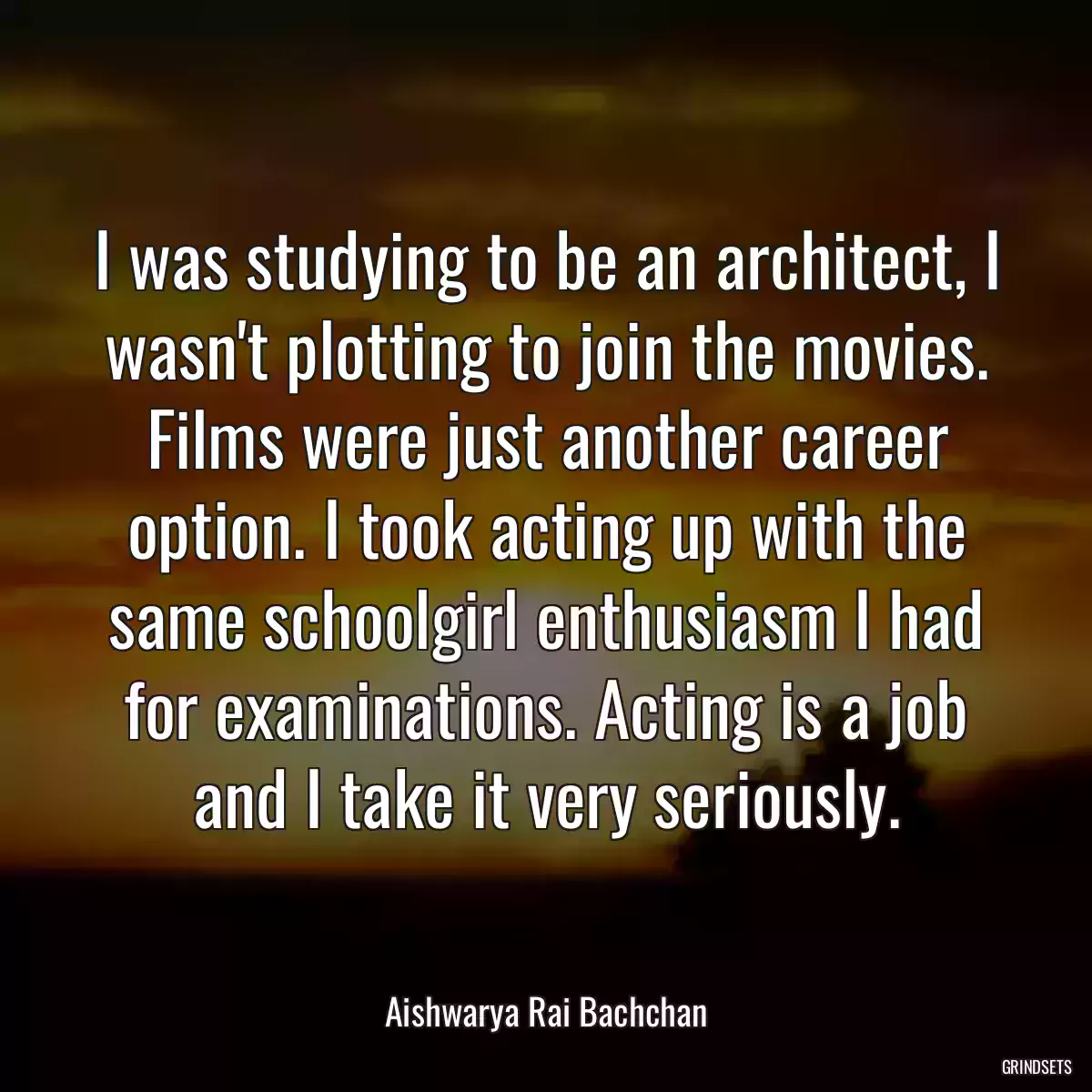 I was studying to be an architect, I wasn\'t plotting to join the movies. Films were just another career option. I took acting up with the same schoolgirl enthusiasm I had for examinations. Acting is a job and I take it very seriously.