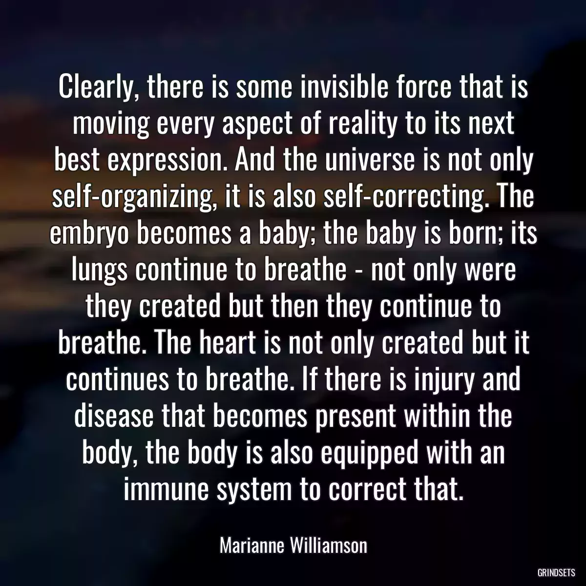 Clearly, there is some invisible force that is moving every aspect of reality to its next best expression. And the universe is not only self-organizing, it is also self-correcting. The embryo becomes a baby; the baby is born; its lungs continue to breathe - not only were they created but then they continue to breathe. The heart is not only created but it continues to breathe. If there is injury and disease that becomes present within the body, the body is also equipped with an immune system to correct that.