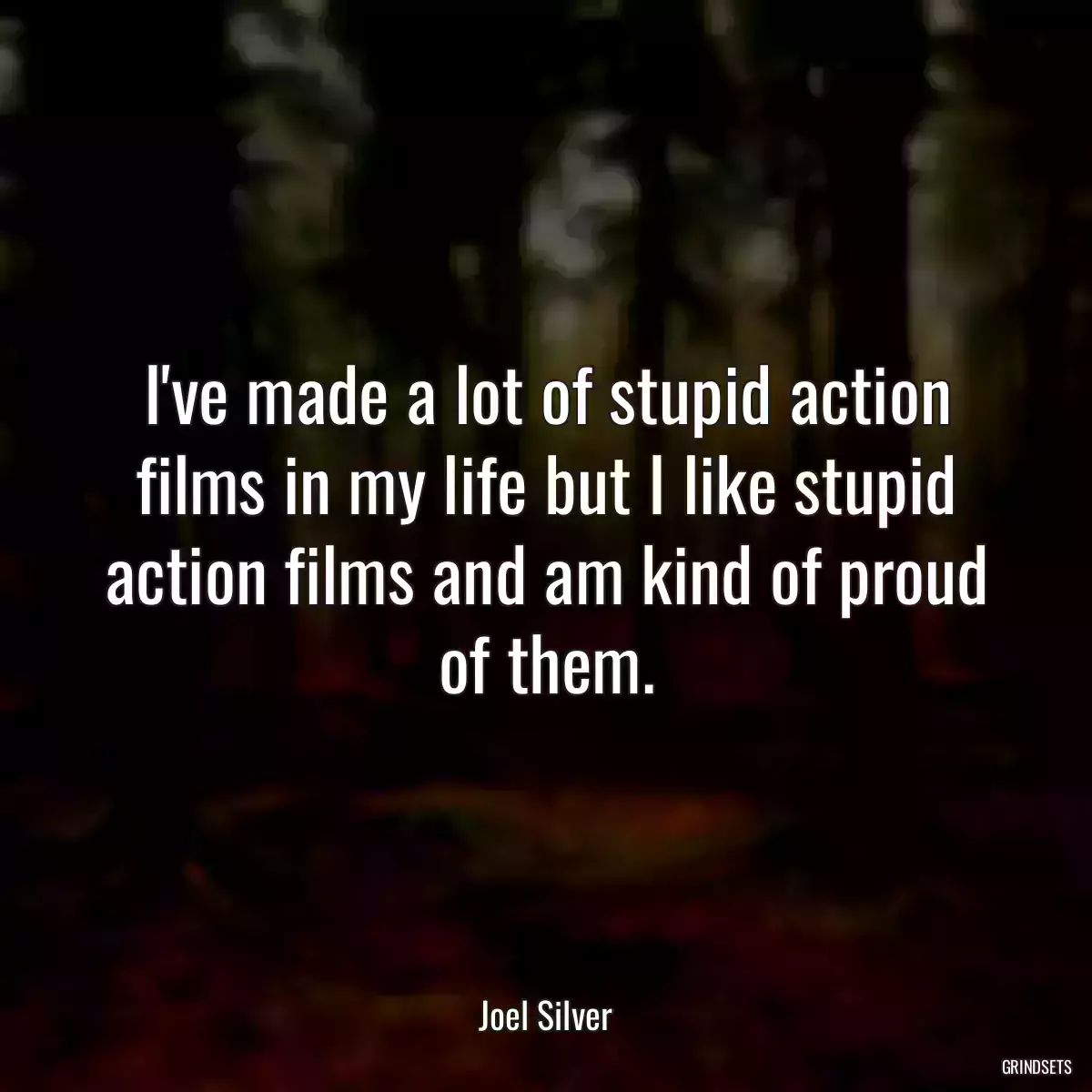 I\'ve made a lot of stupid action films in my life but I like stupid action films and am kind of proud of them.