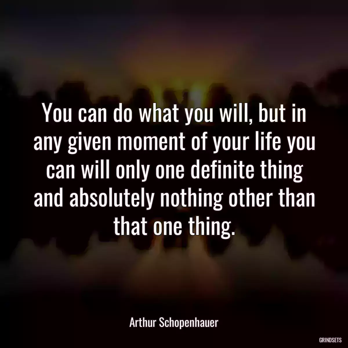 You can do what you will, but in any given moment of your life you can will only one definite thing and absolutely nothing other than that one thing.