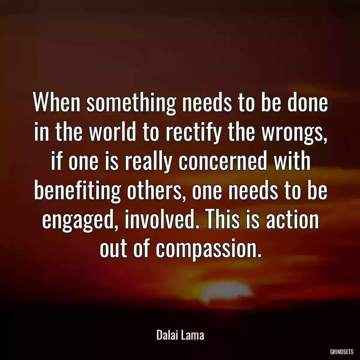 When something needs to be done in the world to rectify the wrongs, if one is really concerned with benefiting others, one needs to be engaged, involved. This is action out of compassion.