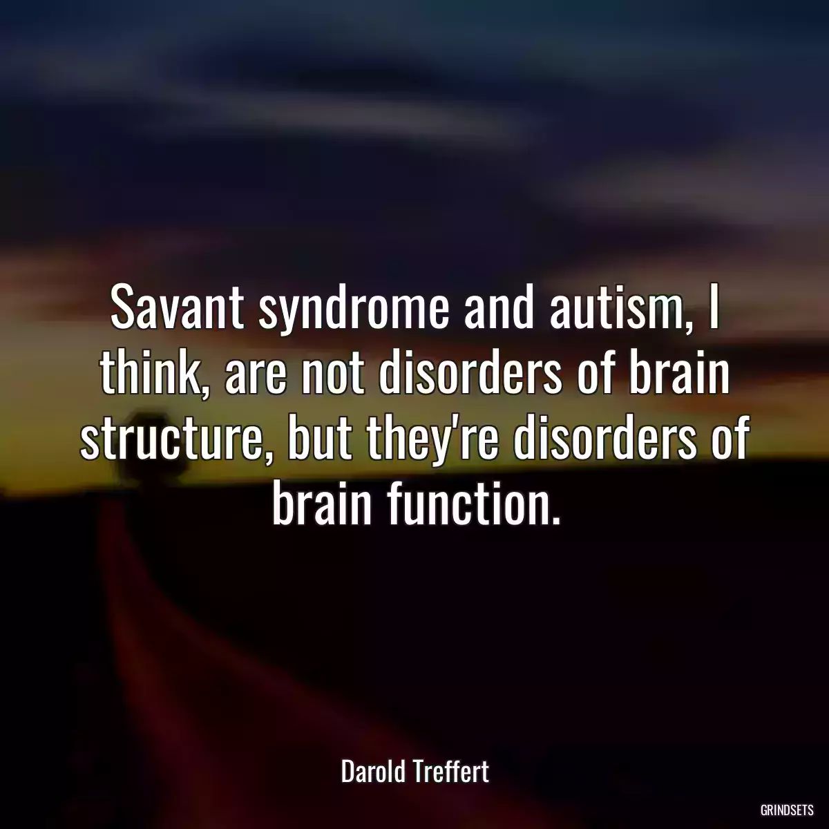 Savant syndrome and autism, I think, are not disorders of brain structure, but they\'re disorders of brain function.