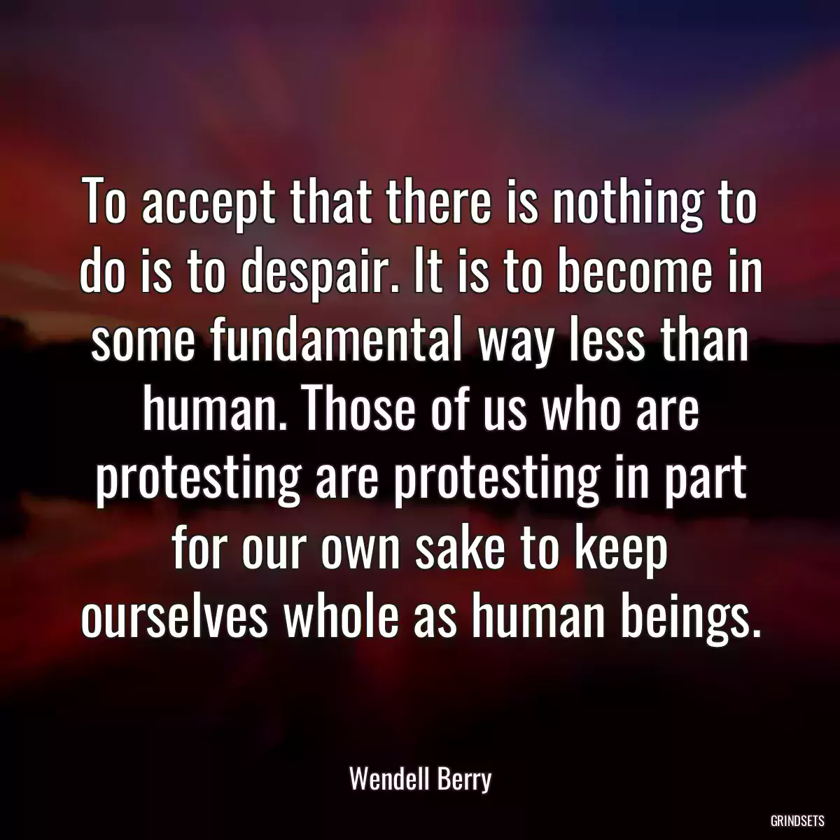 To accept that there is nothing to do is to despair. It is to become in some fundamental way less than human. Those of us who are protesting are protesting in part for our own sake to keep ourselves whole as human beings.