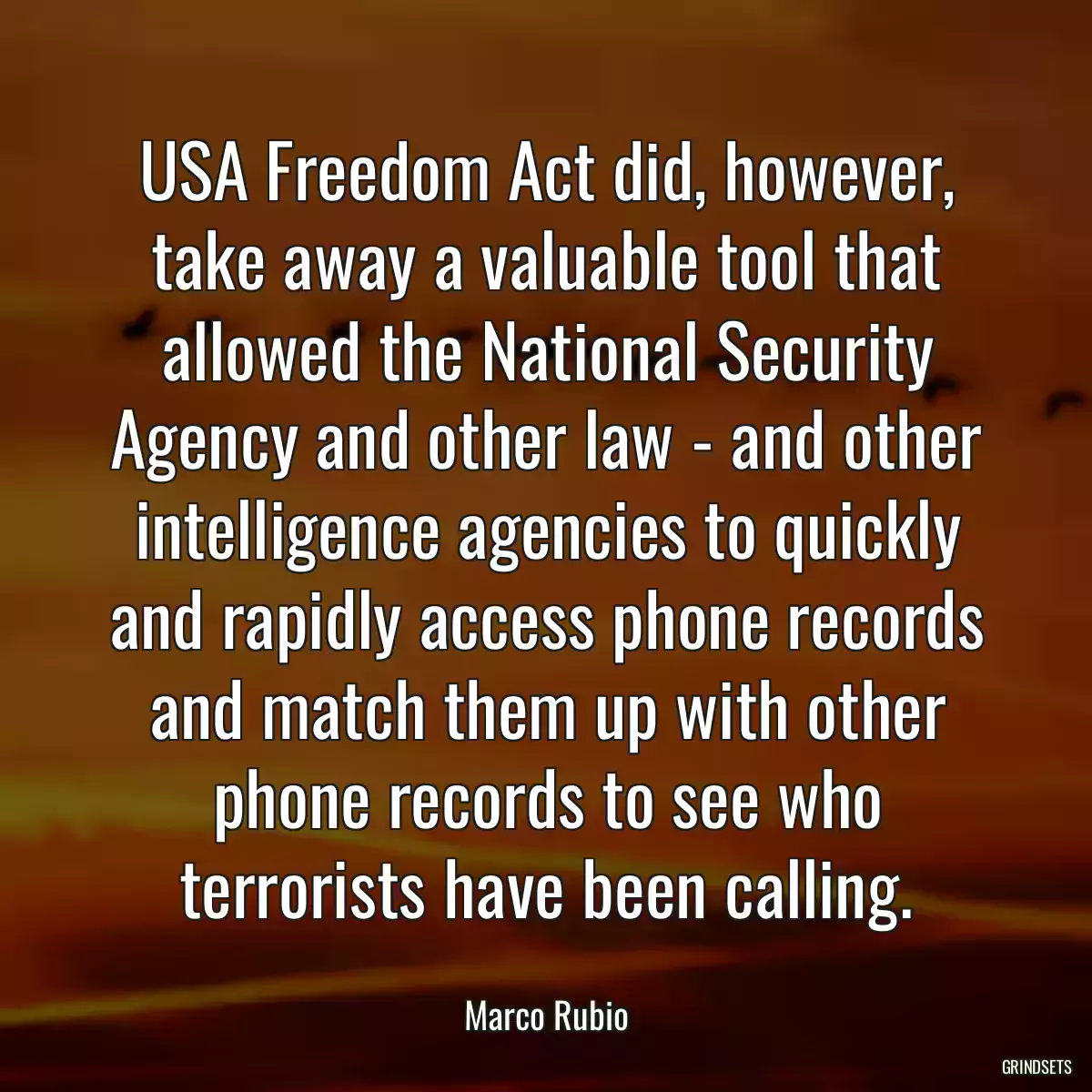 USA Freedom Act did, however, take away a valuable tool that allowed the National Security Agency and other law - and other intelligence agencies to quickly and rapidly access phone records and match them up with other phone records to see who terrorists have been calling.