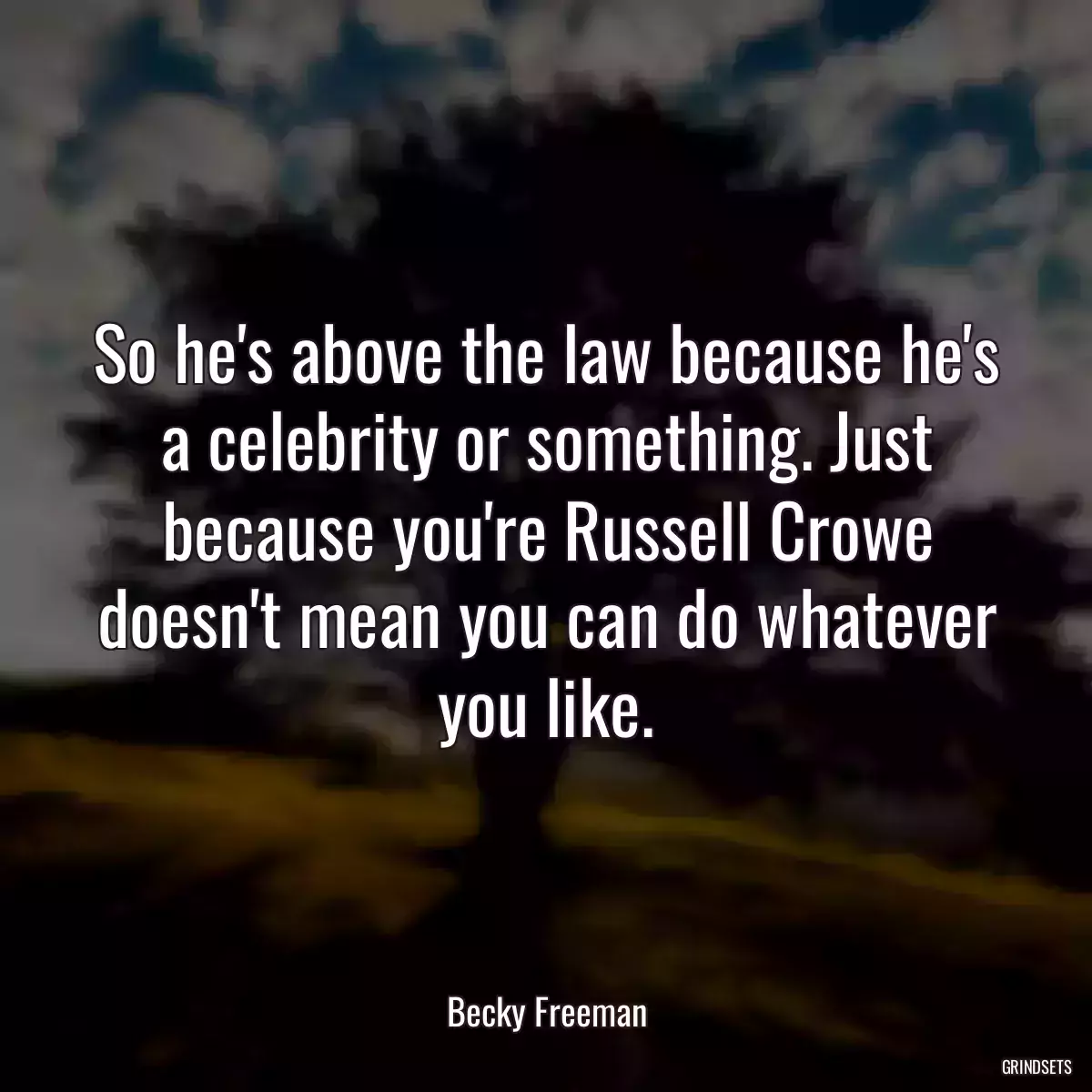 So he\'s above the law because he\'s a celebrity or something. Just because you\'re Russell Crowe doesn\'t mean you can do whatever you like.