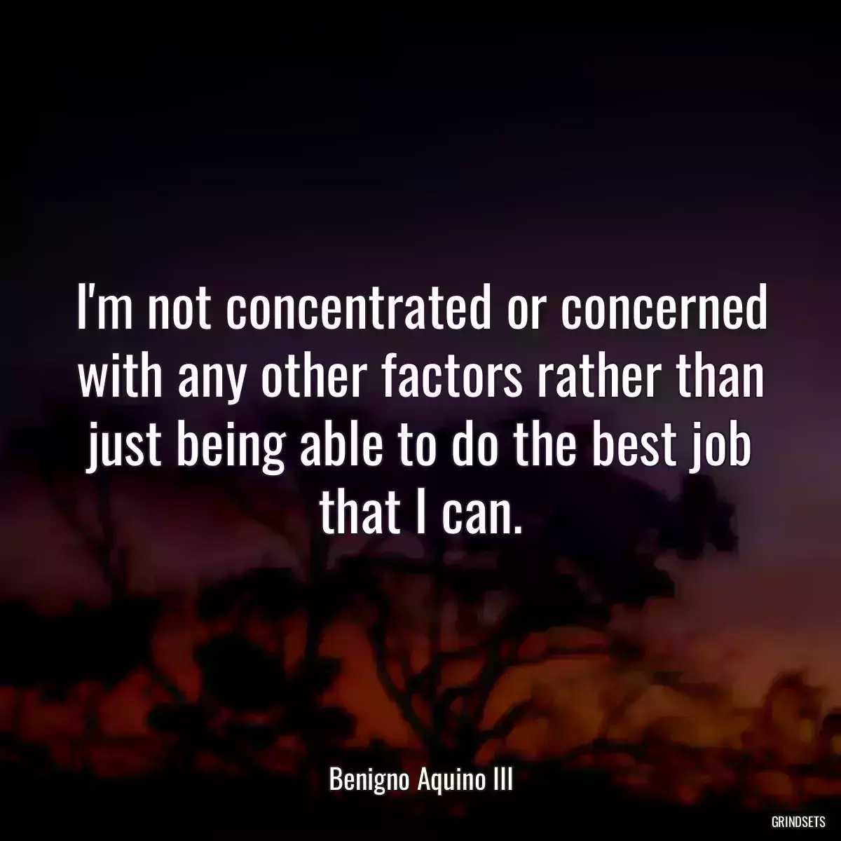 I\'m not concentrated or concerned with any other factors rather than just being able to do the best job that I can.