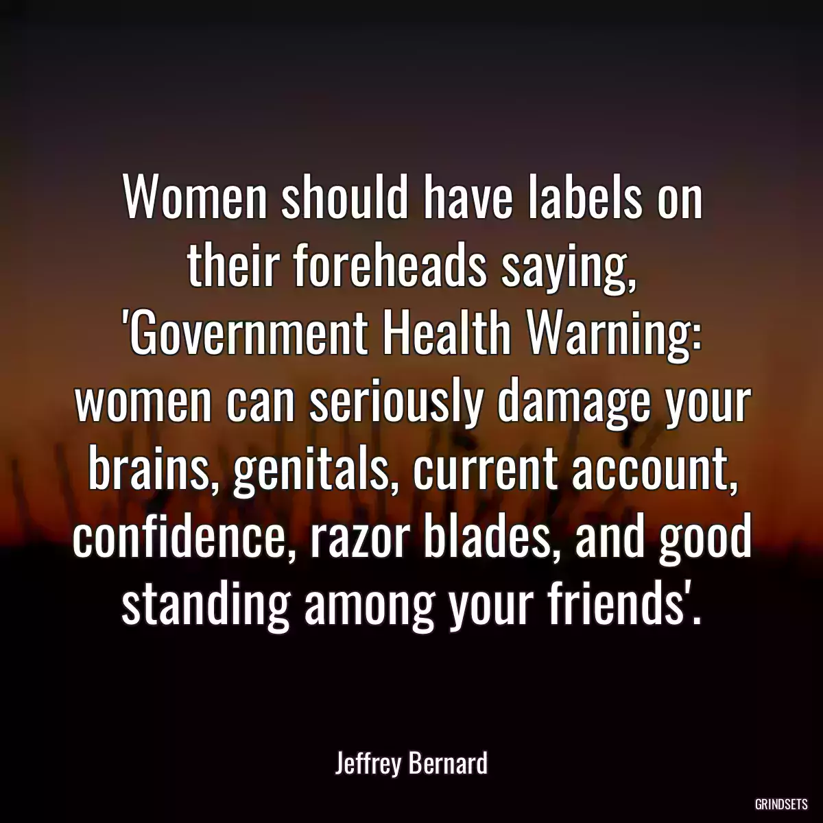 Women should have labels on their foreheads saying, \'Government Health Warning: women can seriously damage your brains, genitals, current account, confidence, razor blades, and good standing among your friends\'.