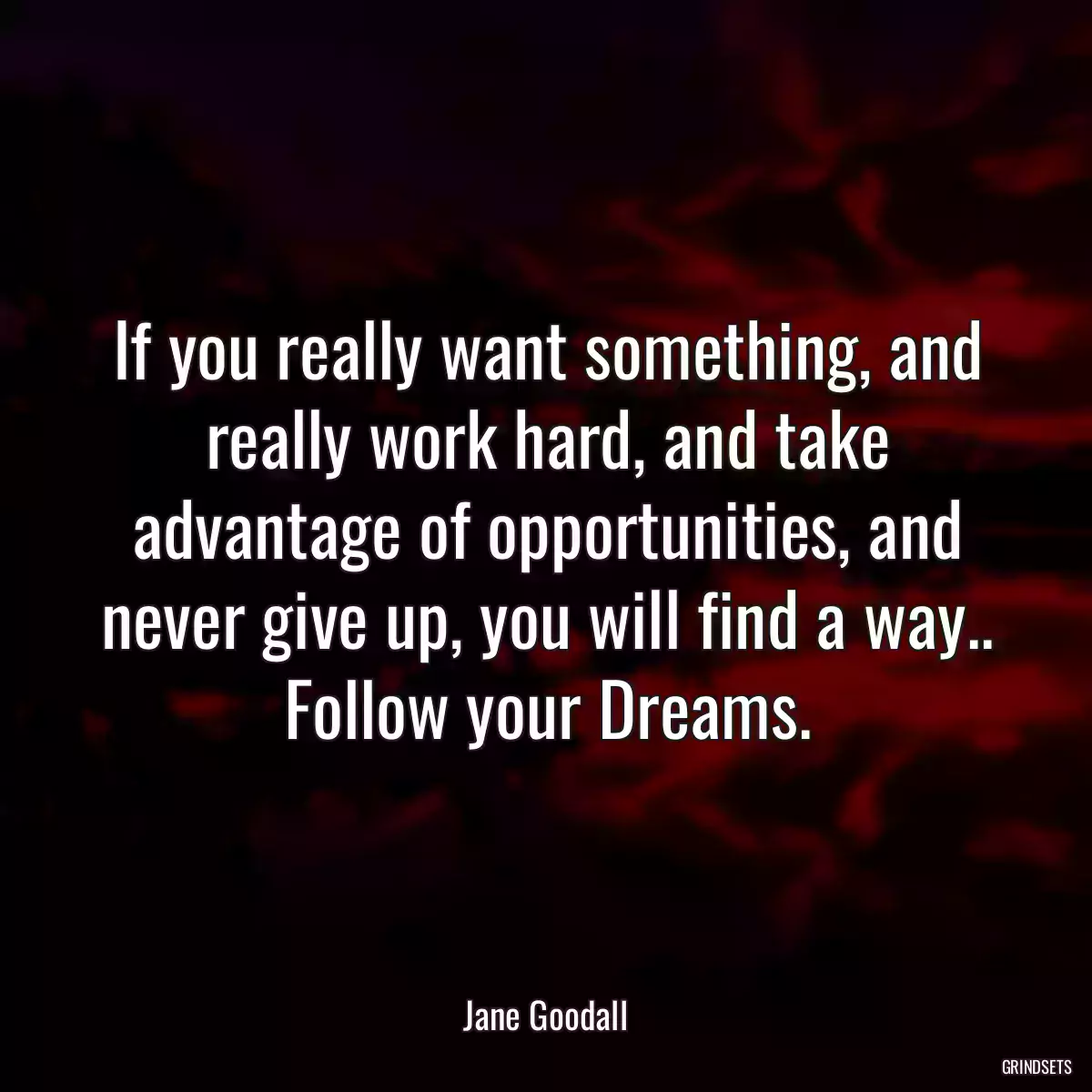 If you really want something, and really work hard, and take advantage of opportunities, and never give up, you will find a way.. Follow your Dreams.