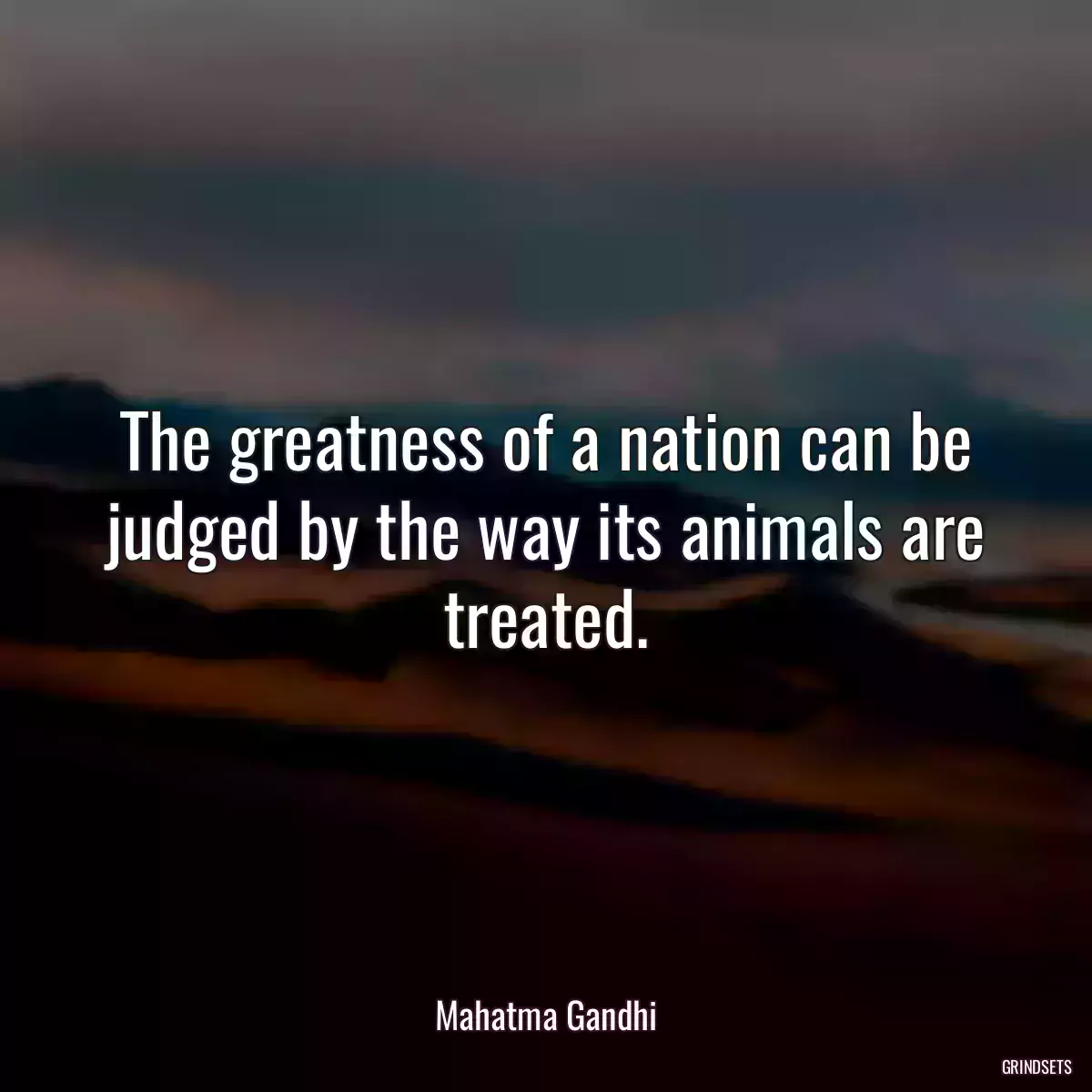 The greatness of a nation can be judged by the way its animals are treated.