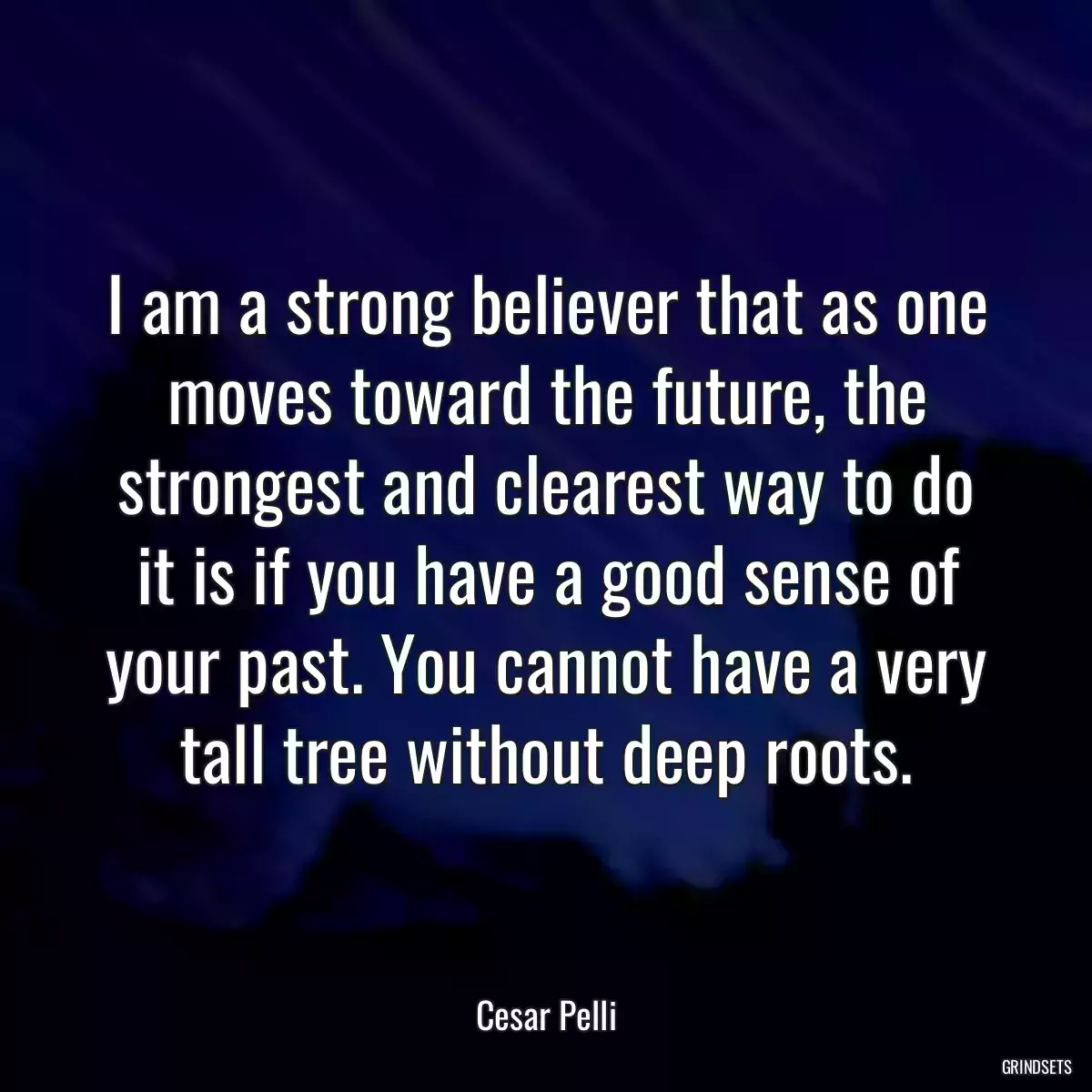 I am a strong believer that as one moves toward the future, the strongest and clearest way to do it is if you have a good sense of your past. You cannot have a very tall tree without deep roots.