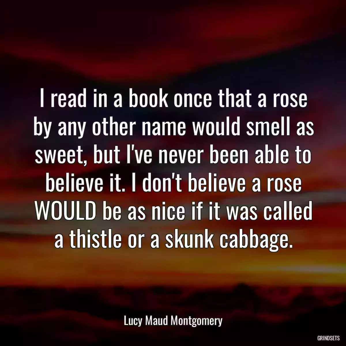 I read in a book once that a rose by any other name would smell as sweet, but I\'ve never been able to believe it. I don\'t believe a rose WOULD be as nice if it was called a thistle or a skunk cabbage.