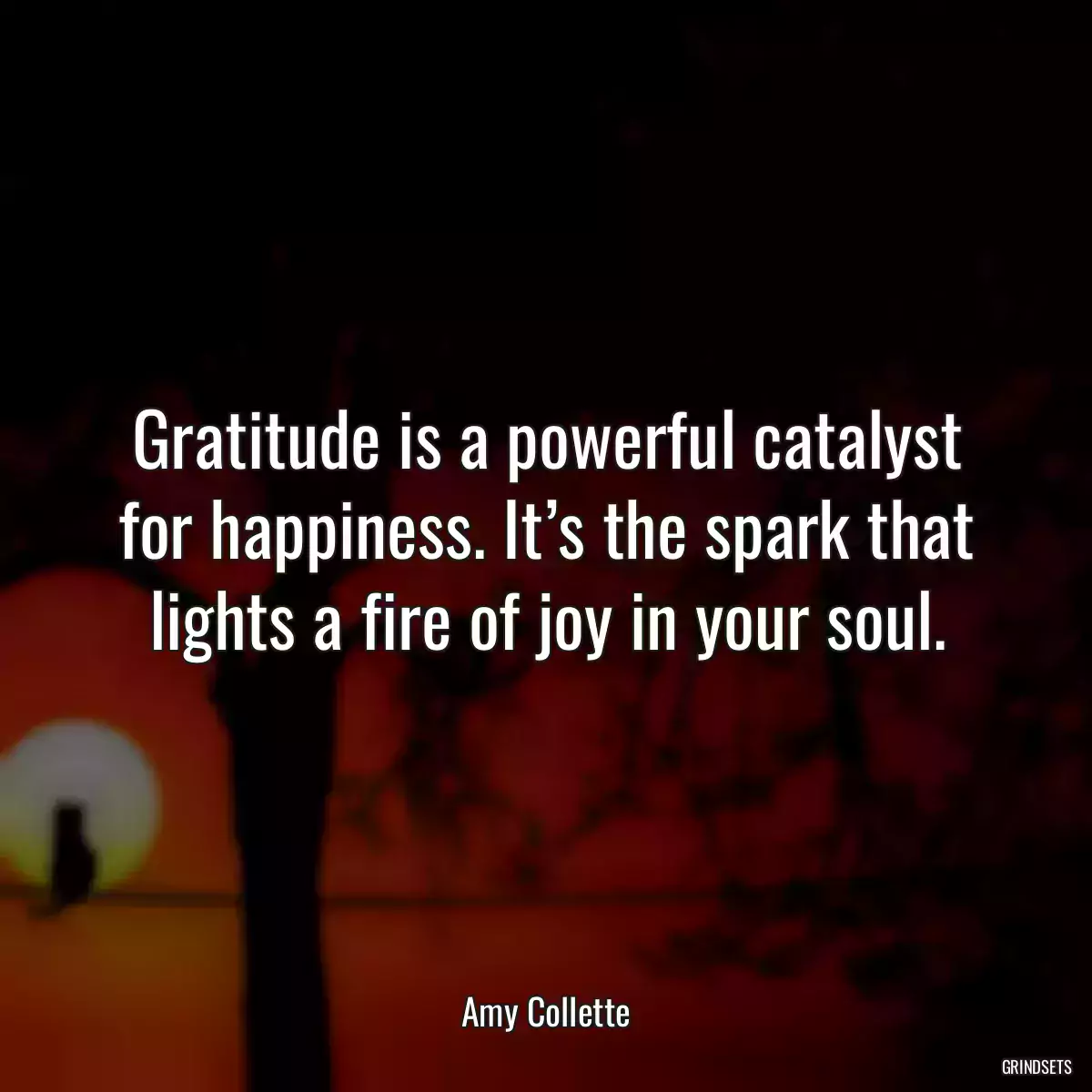 Gratitude is a powerful catalyst for happiness. It’s the spark that lights a fire of joy in your soul.