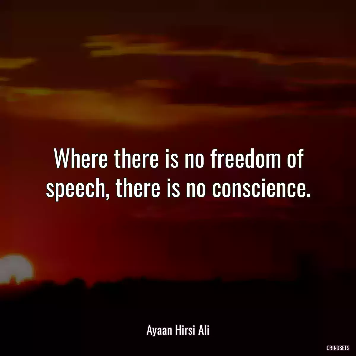 Where there is no freedom of speech, there is no conscience.