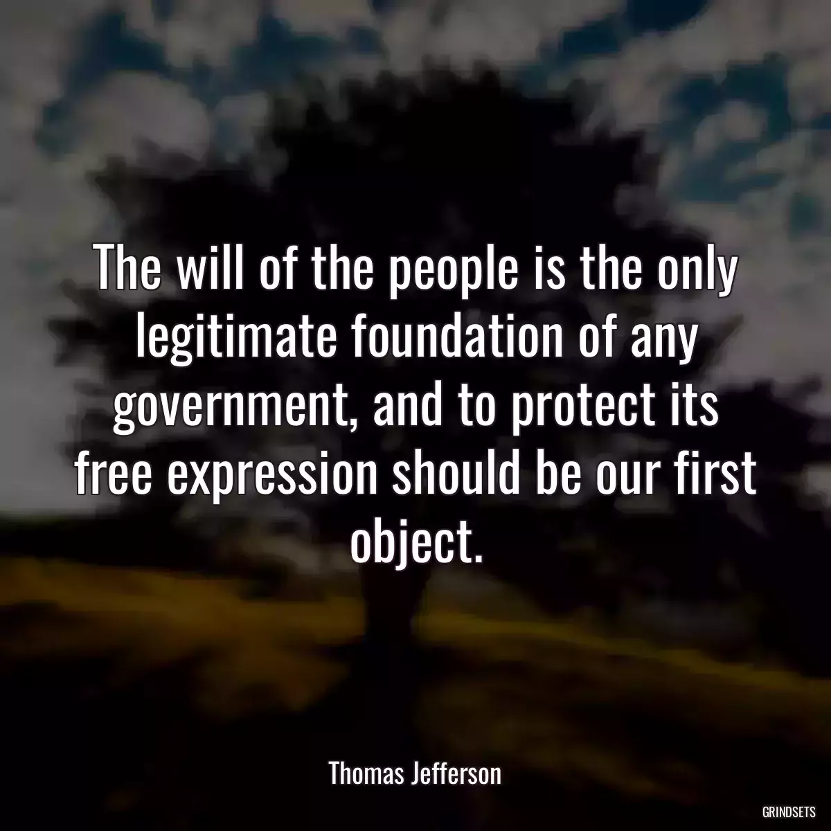 The will of the people is the only legitimate foundation of any government, and to protect its free expression should be our first object.