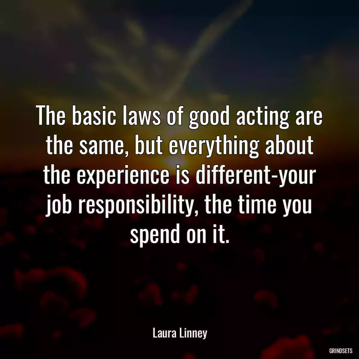 The basic laws of good acting are the same, but everything about the experience is different-your job responsibility, the time you spend on it.