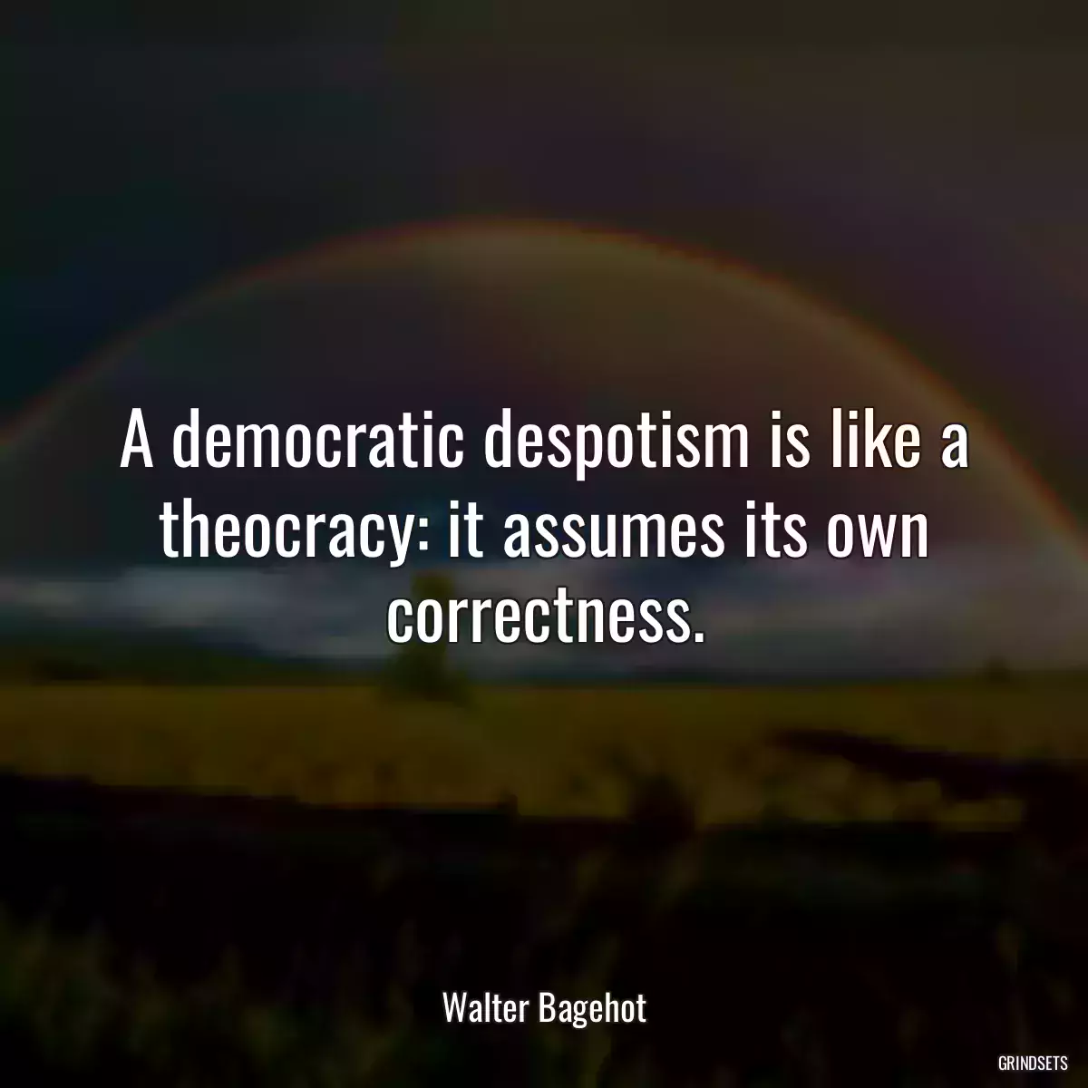 A democratic despotism is like a theocracy: it assumes its own correctness.