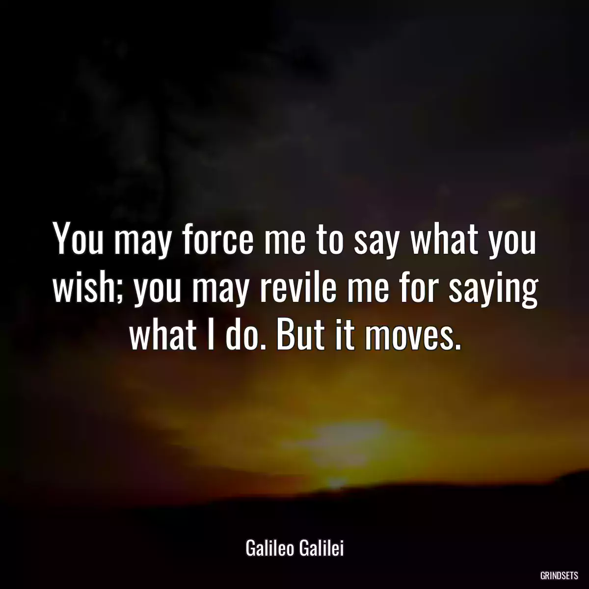 You may force me to say what you wish; you may revile me for saying what I do. But it moves.