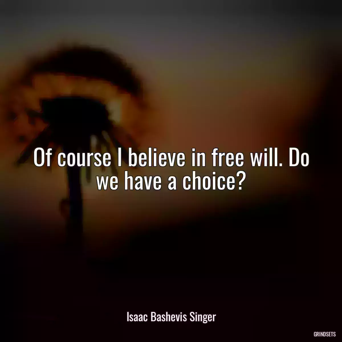 Of course I believe in free will. Do we have a choice?