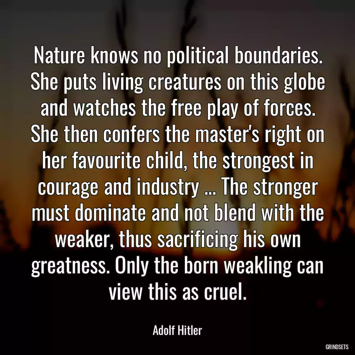 Nature knows no political boundaries. She puts living creatures on this globe and watches the free play of forces. She then confers the master\'s right on her favourite child, the strongest in courage and industry ... The stronger must dominate and not blend with the weaker, thus sacrificing his own greatness. Only the born weakling can view this as cruel.