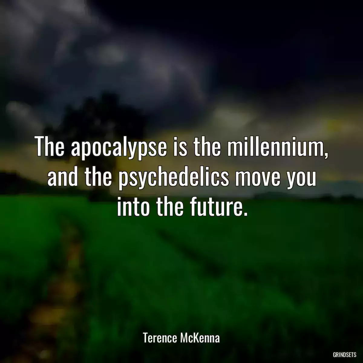 The apocalypse is the millennium, and the psychedelics move you into the future.