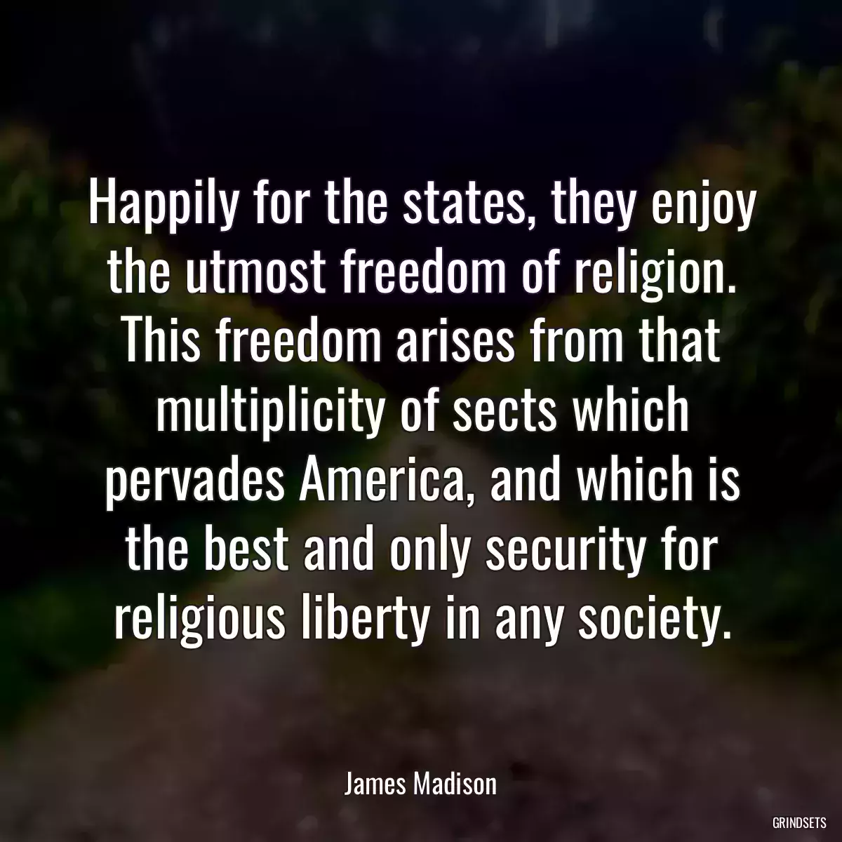 Happily for the states, they enjoy the utmost freedom of religion. This freedom arises from that multiplicity of sects which pervades America, and which is the best and only security for religious liberty in any society.