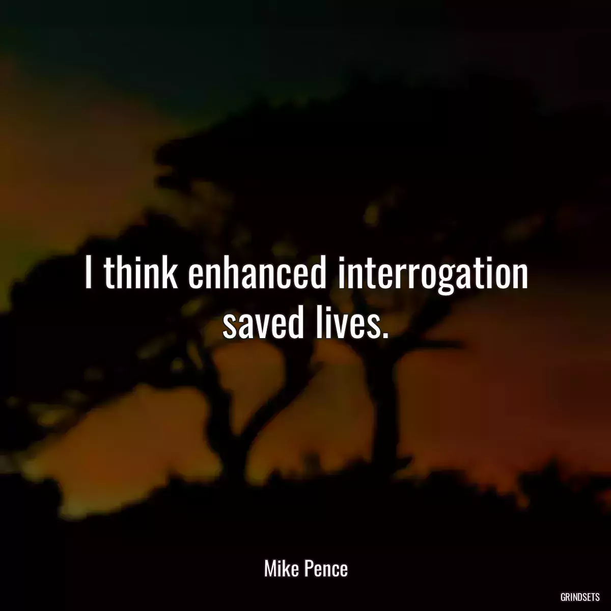 I think enhanced interrogation saved lives.