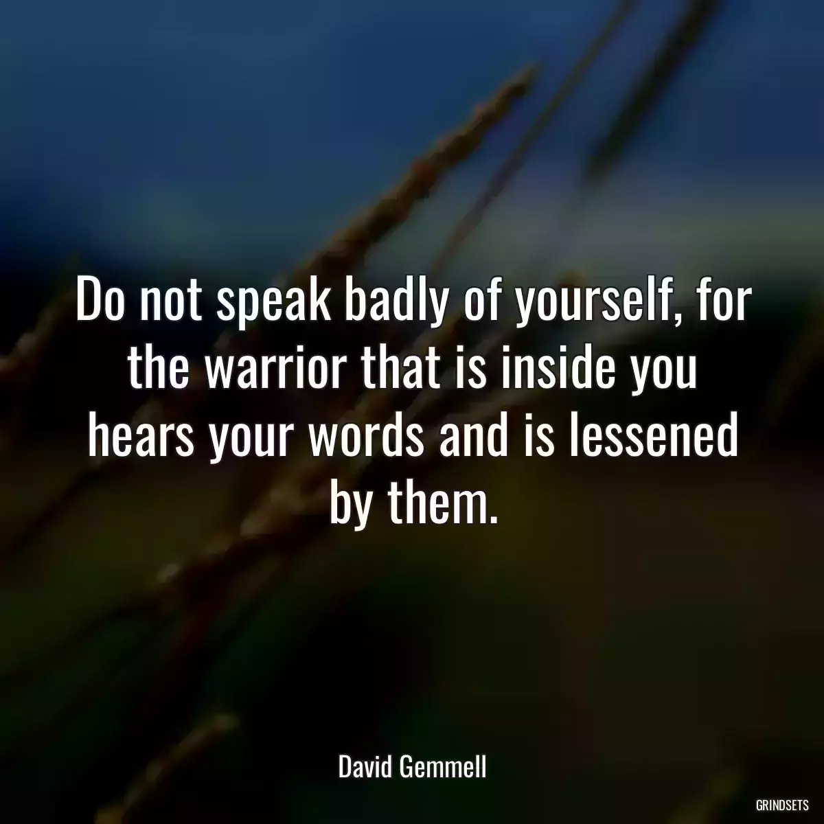 Do not speak badly of yourself, for the warrior that is inside you hears your words and is lessened by them.