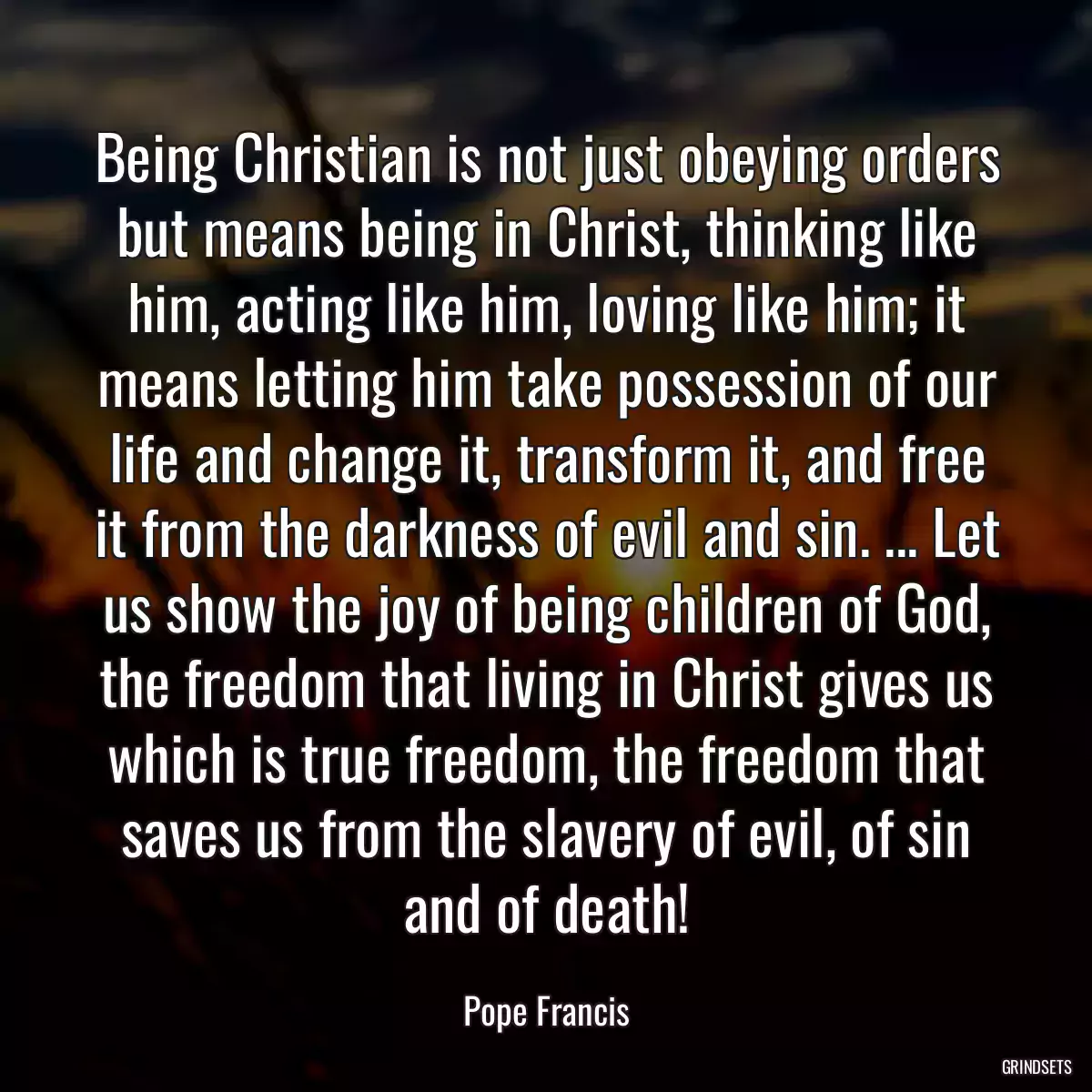 Being Christian is not just obeying orders but means being in Christ, thinking like him, acting like him, loving like him; it means letting him take possession of our life and change it, transform it, and free it from the darkness of evil and sin. ... Let us show the joy of being children of God, the freedom that living in Christ gives us which is true freedom, the freedom that saves us from the slavery of evil, of sin and of death!