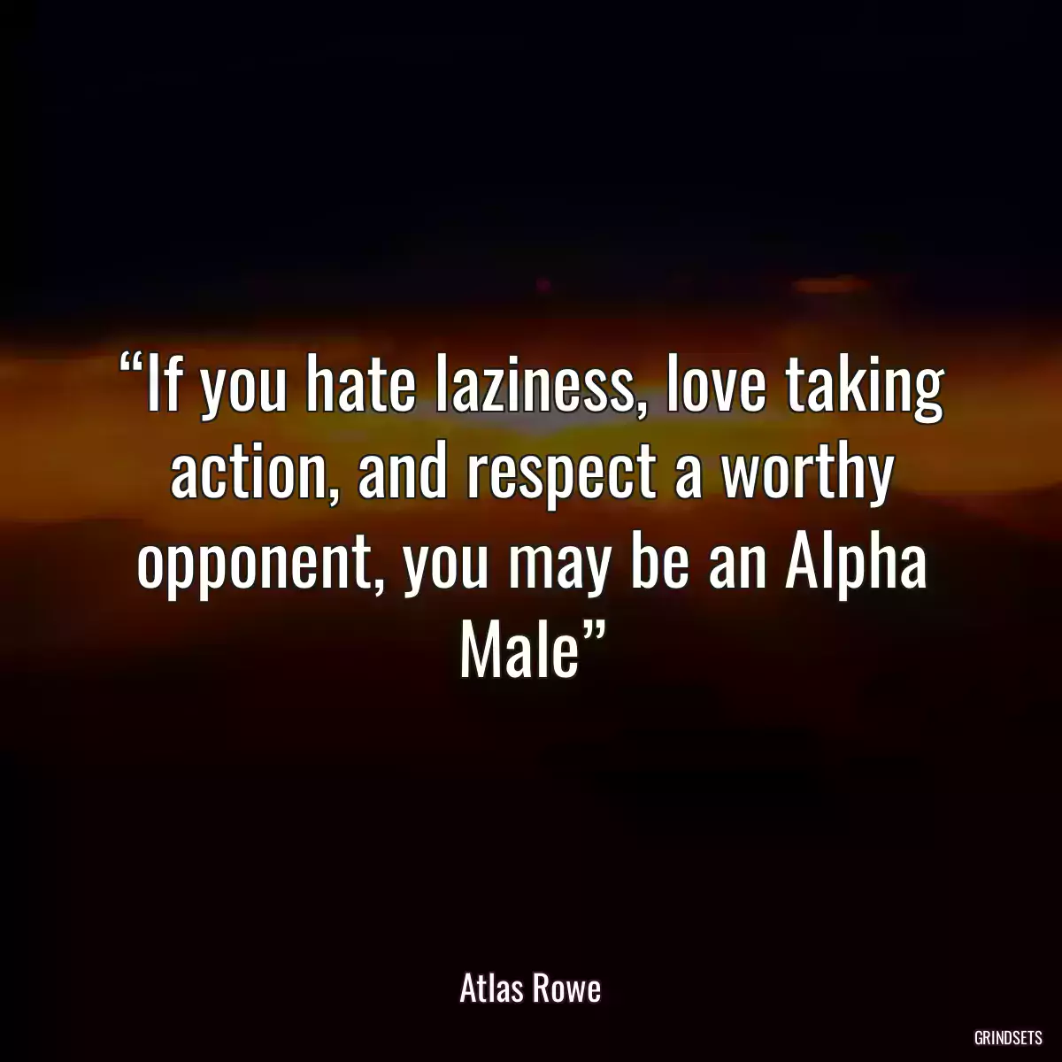 “If you hate laziness, love taking action, and respect a worthy opponent, you may be an Alpha Male”