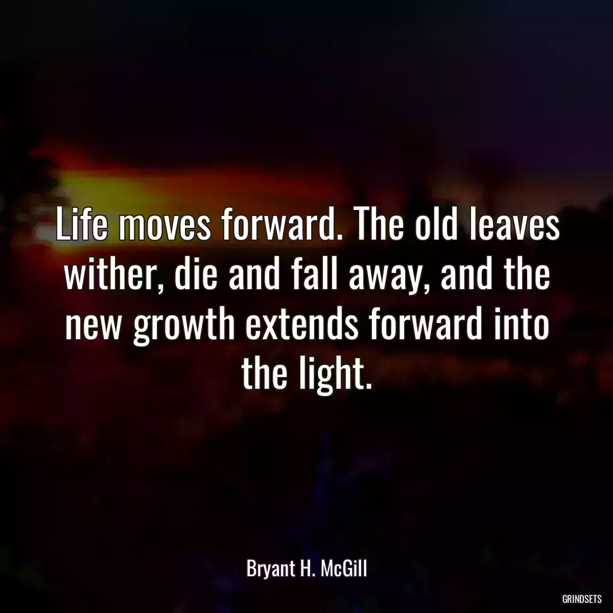 Life moves forward. The old leaves wither, die and fall away, and the new growth extends forward into the light.