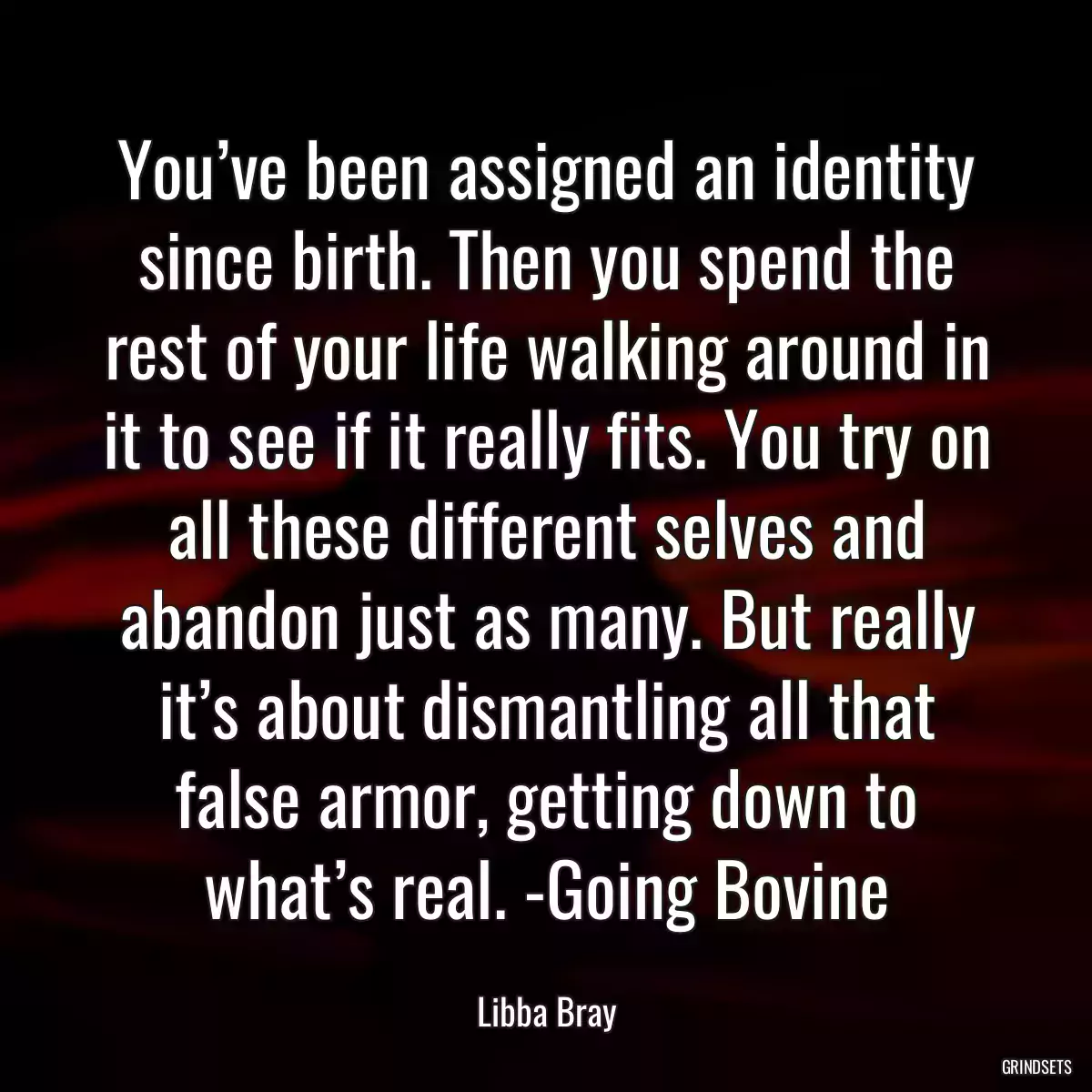 You’ve been assigned an identity since birth. Then you spend the rest of your life walking around in it to see if it really fits. You try on all these different selves and abandon just as many. But really it’s about dismantling all that false armor, getting down to what’s real. -Going Bovine