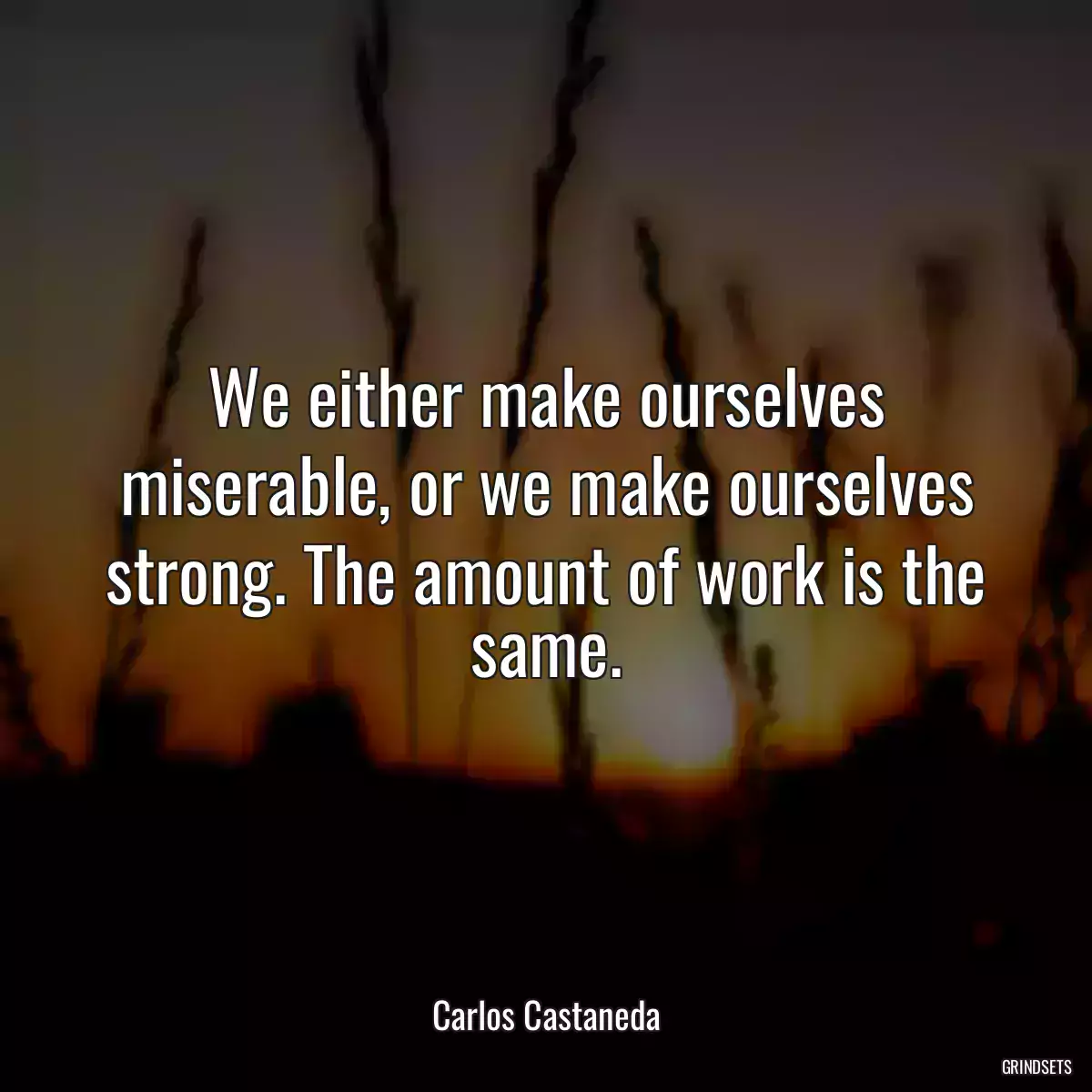 We either make ourselves miserable, or we make ourselves strong. The amount of work is the same.