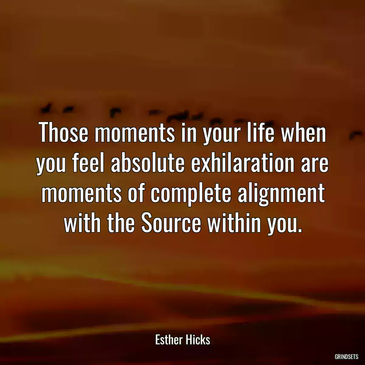 Those moments in your life when you feel absolute exhilaration are moments of complete alignment with the Source within you.