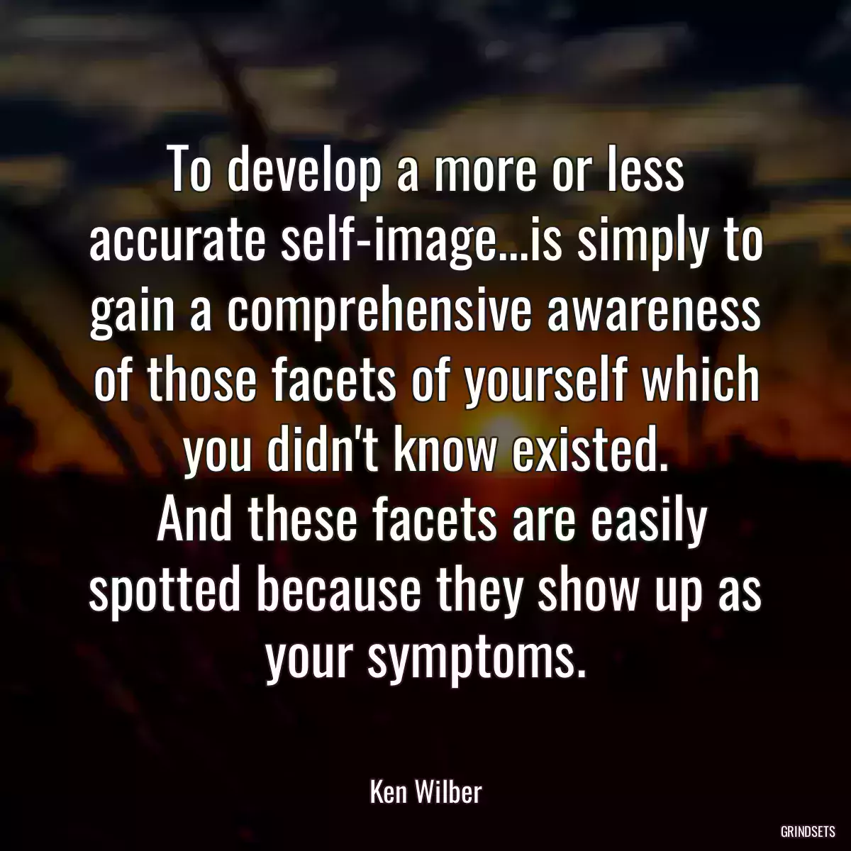 To develop a more or less accurate self-image...is simply to gain a comprehensive awareness of those facets of yourself which you didn\'t know existed.
 And these facets are easily spotted because they show up as your symptoms.