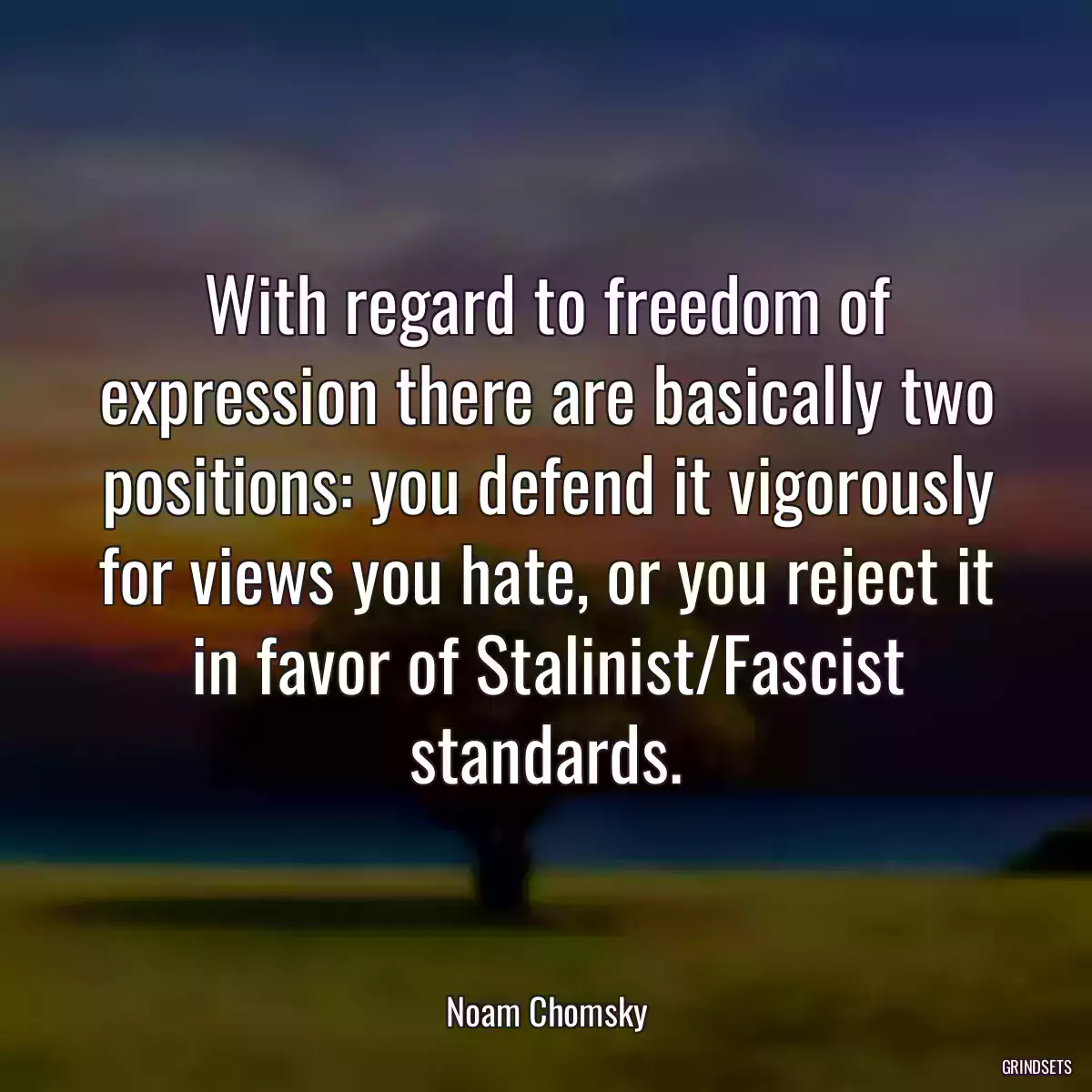 With regard to freedom of expression there are basically two positions: you defend it vigorously for views you hate, or you reject it in favor of Stalinist/Fascist standards.