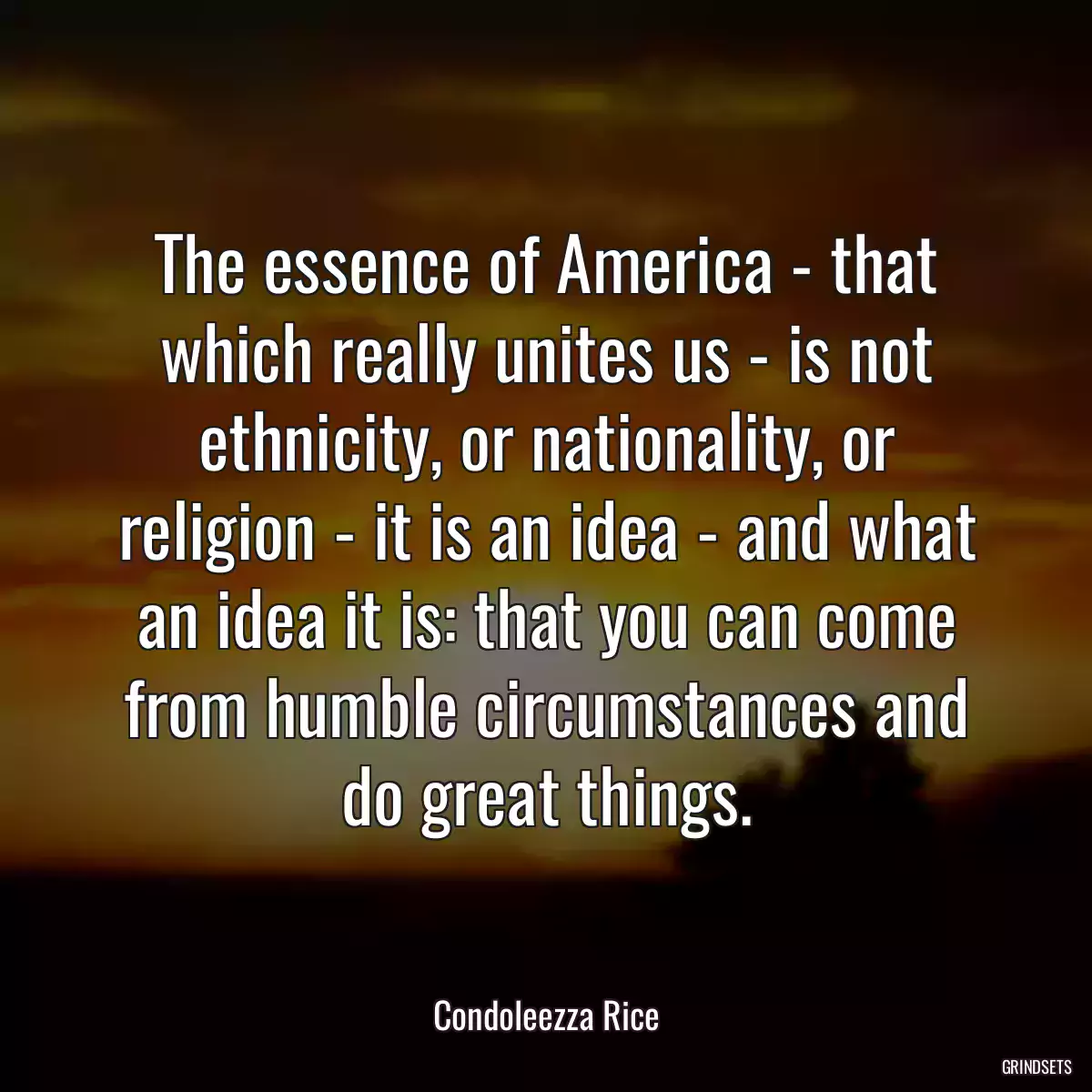 The essence of America - that which really unites us - is not ethnicity, or nationality, or religion - it is an idea - and what an idea it is: that you can come from humble circumstances and do great things.