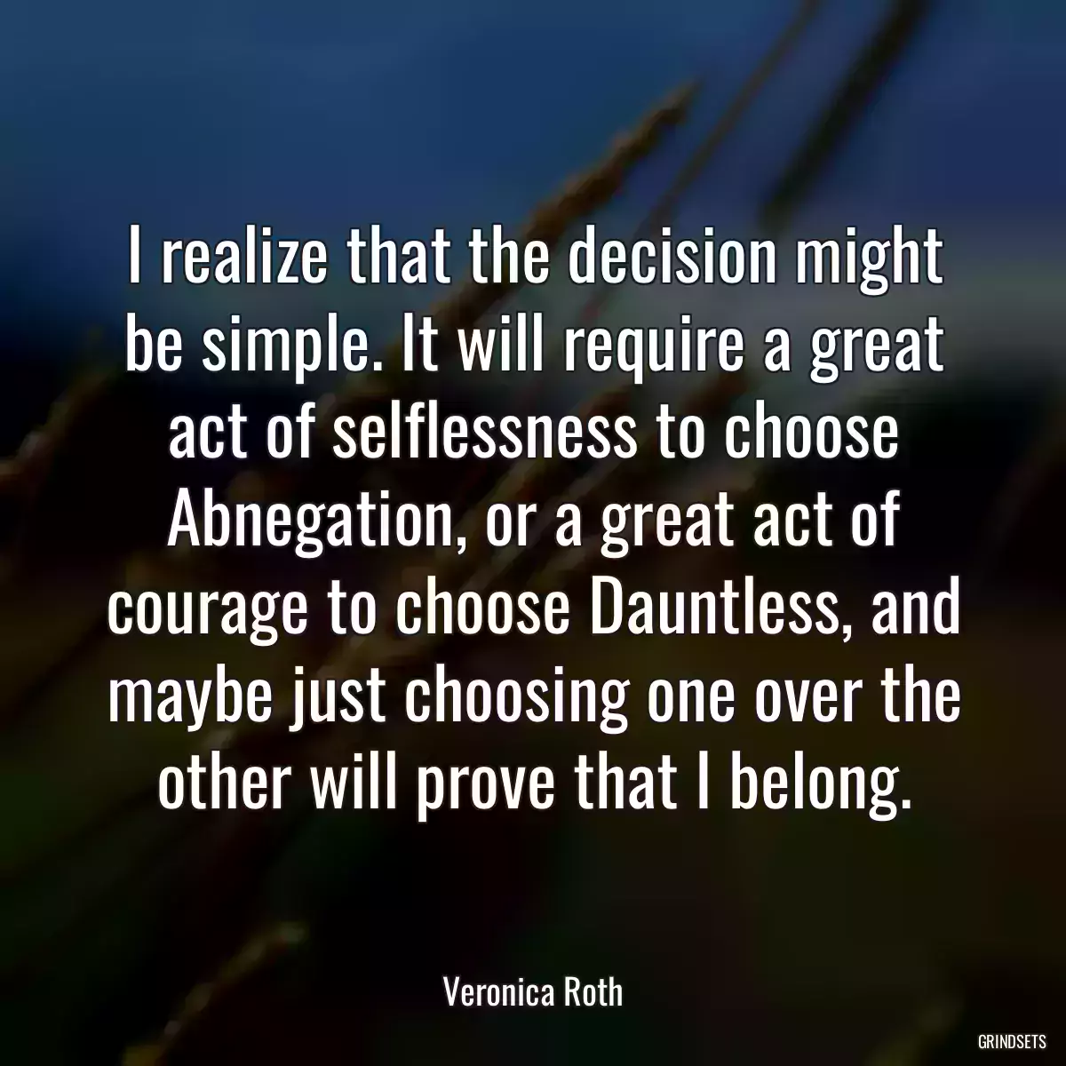 I realize that the decision might be simple. It will require a great act of selflessness to choose Abnegation, or a great act of courage to choose Dauntless, and maybe just choosing one over the other will prove that I belong.