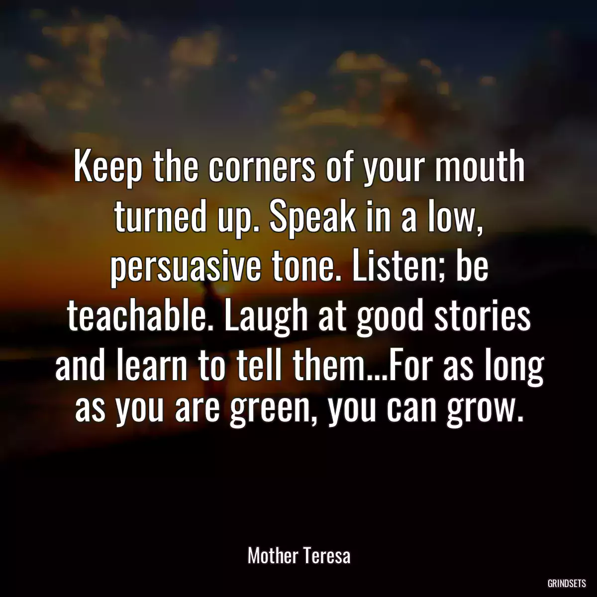 Keep the corners of your mouth turned up. Speak in a low, persuasive tone. Listen; be teachable. Laugh at good stories and learn to tell them...For as long as you are green, you can grow.