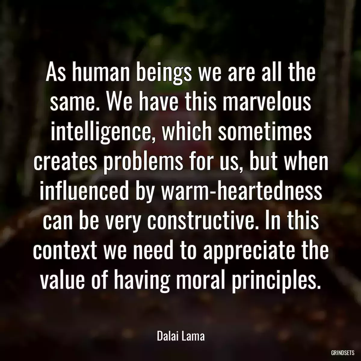 As human beings we are all the same. We have this marvelous intelligence, which sometimes creates problems for us, but when influenced by warm-heartedness can be very constructive. In this context we need to appreciate the value of having moral principles.