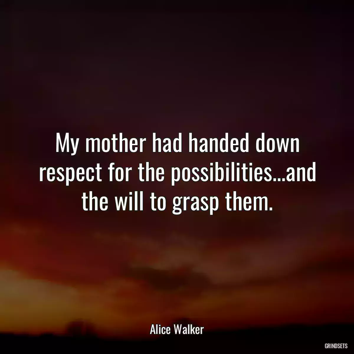 My mother had handed down respect for the possibilities...and the will to grasp them.