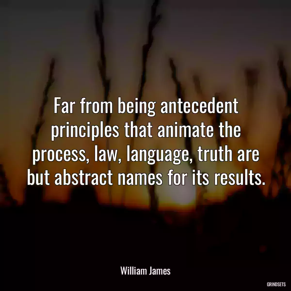 Far from being antecedent principles that animate the process, law, language, truth are but abstract names for its results.