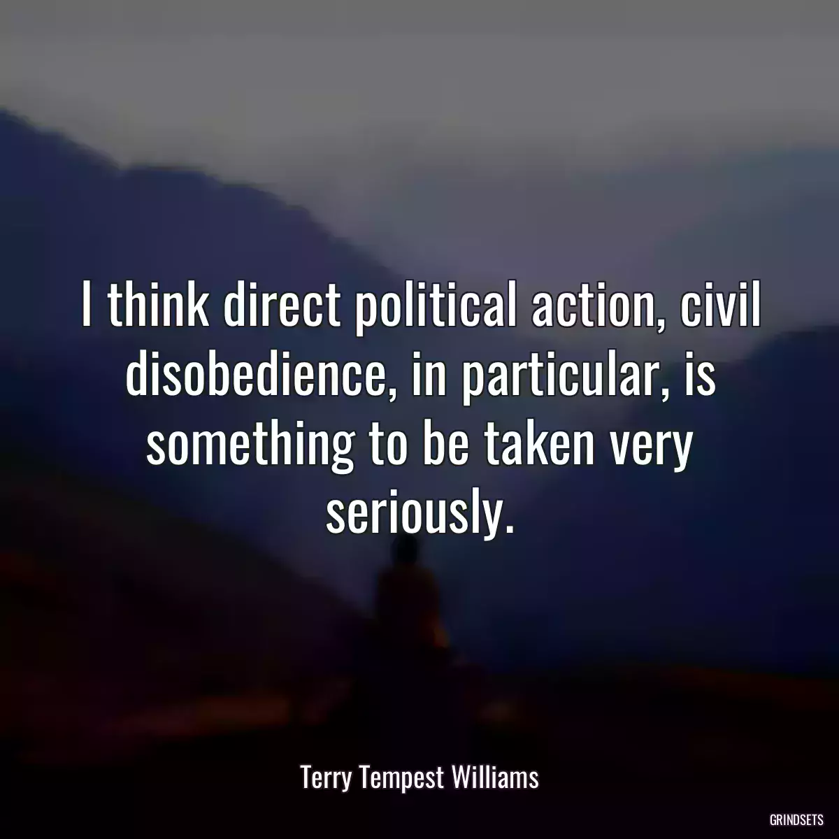 I think direct political action, civil disobedience, in particular, is something to be taken very seriously.