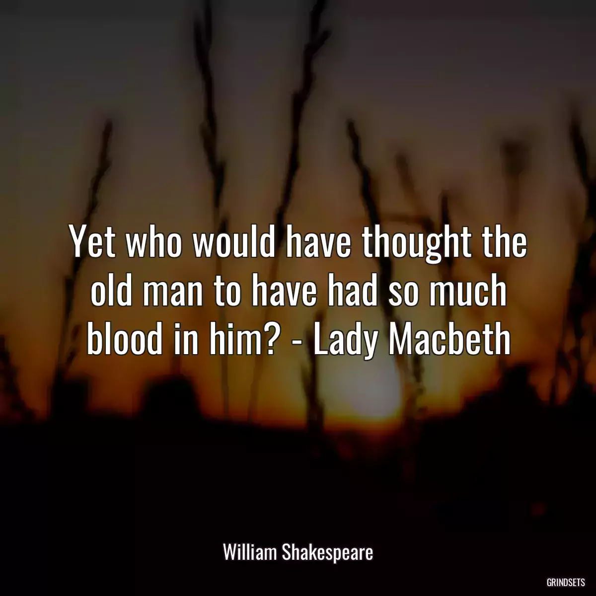 Yet who would have thought the old man to have had so much blood in him? - Lady Macbeth