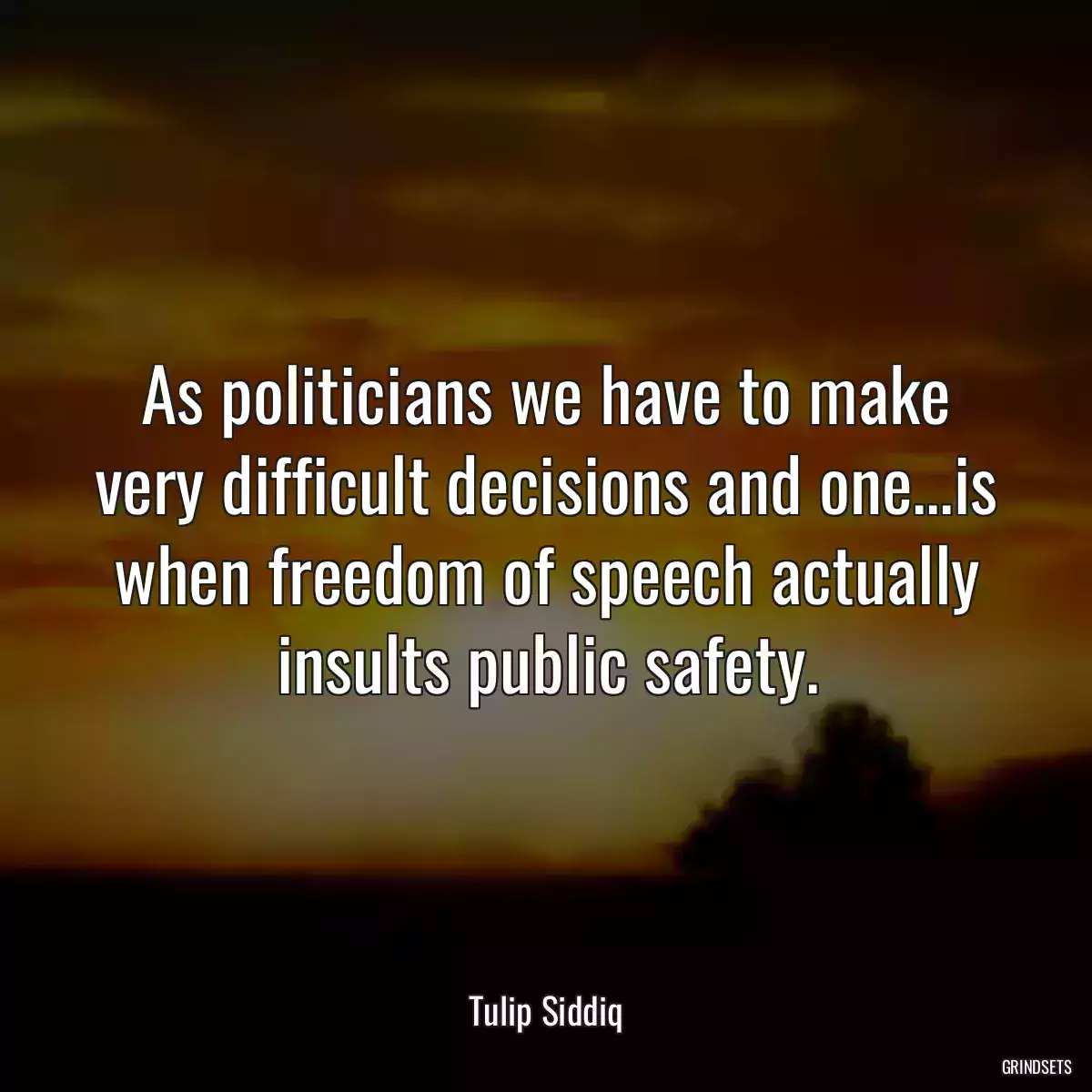 As politicians we have to make very difficult decisions and one...is when freedom of speech actually insults public safety.