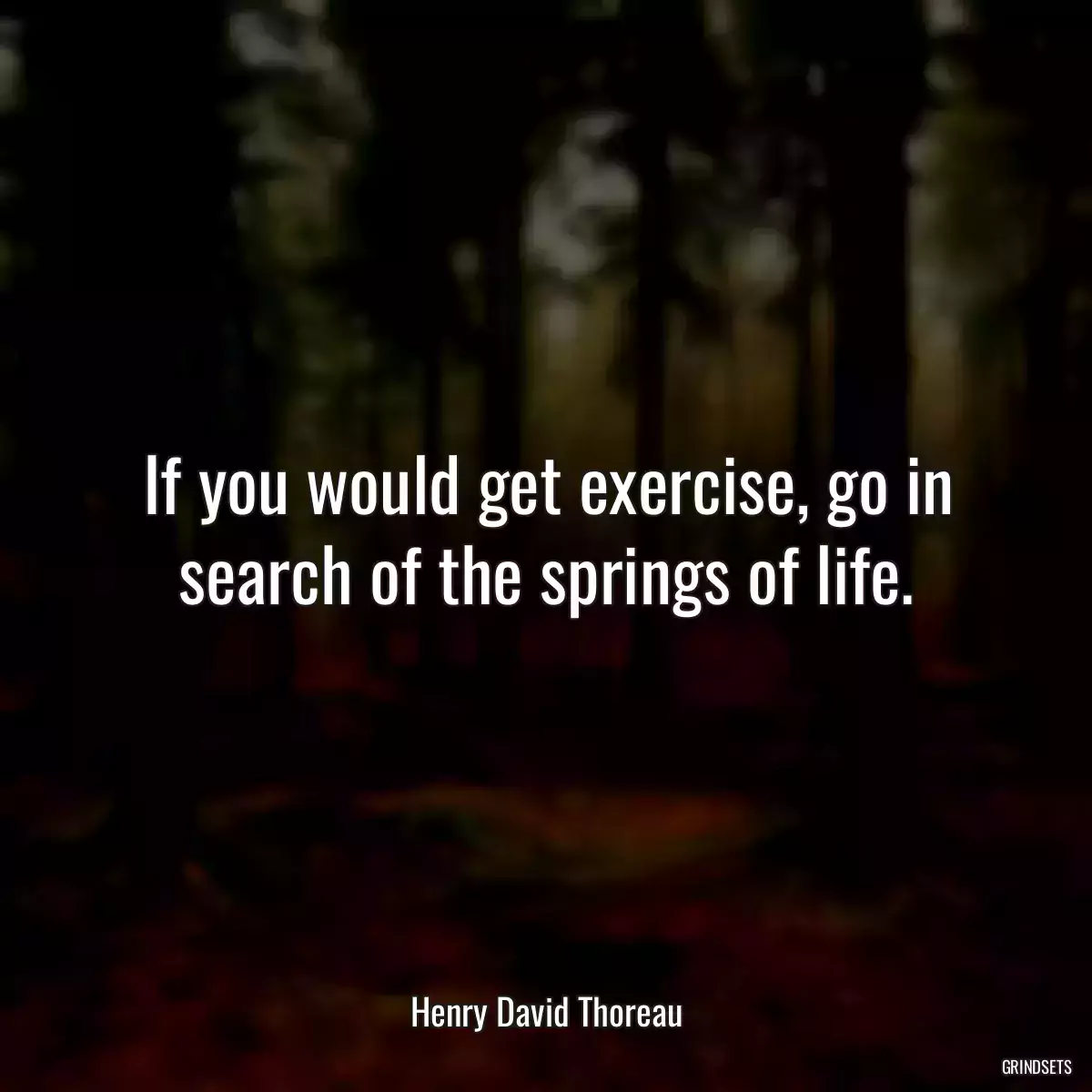 If you would get exercise, go in search of the springs of life.