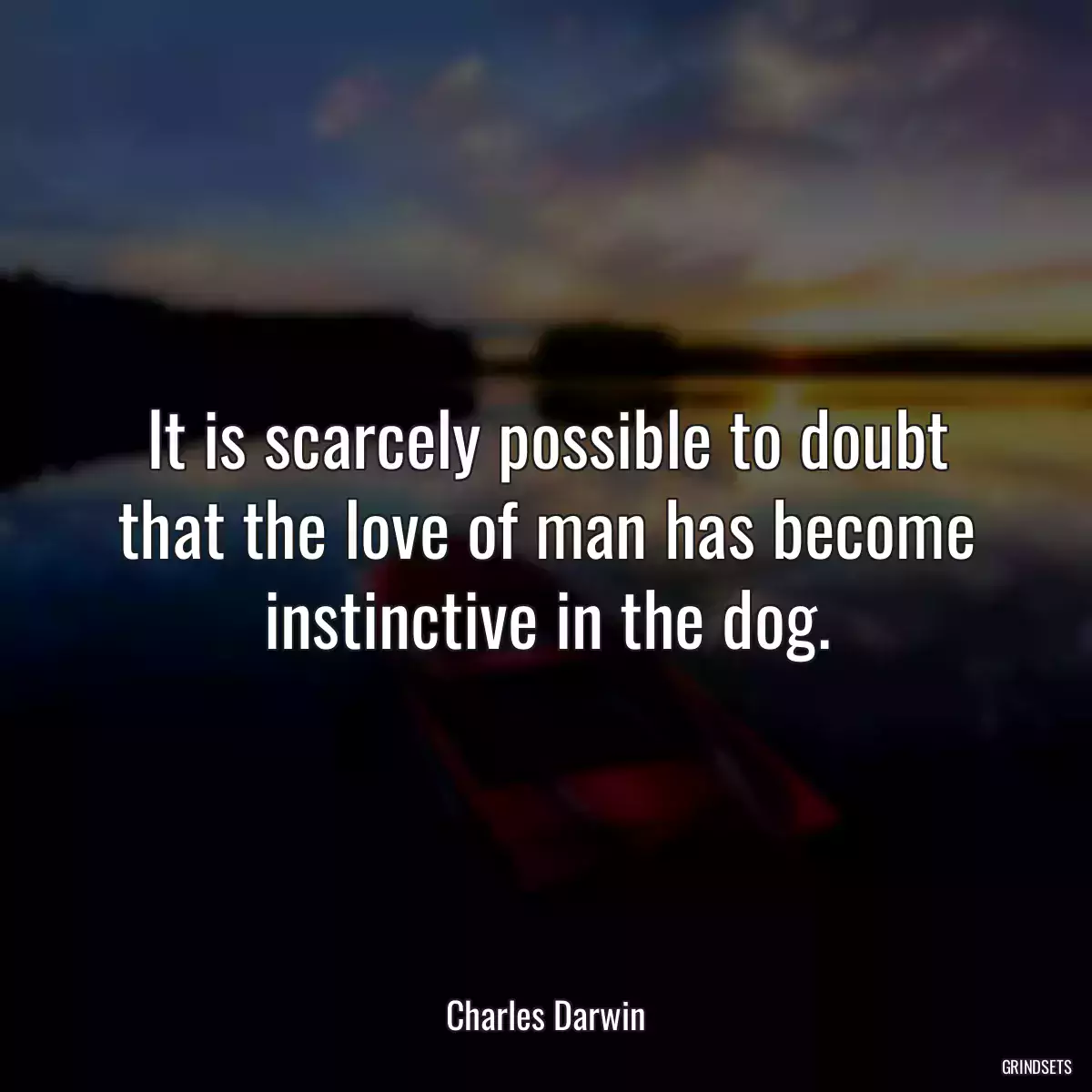 It is scarcely possible to doubt that the love of man has become instinctive in the dog.