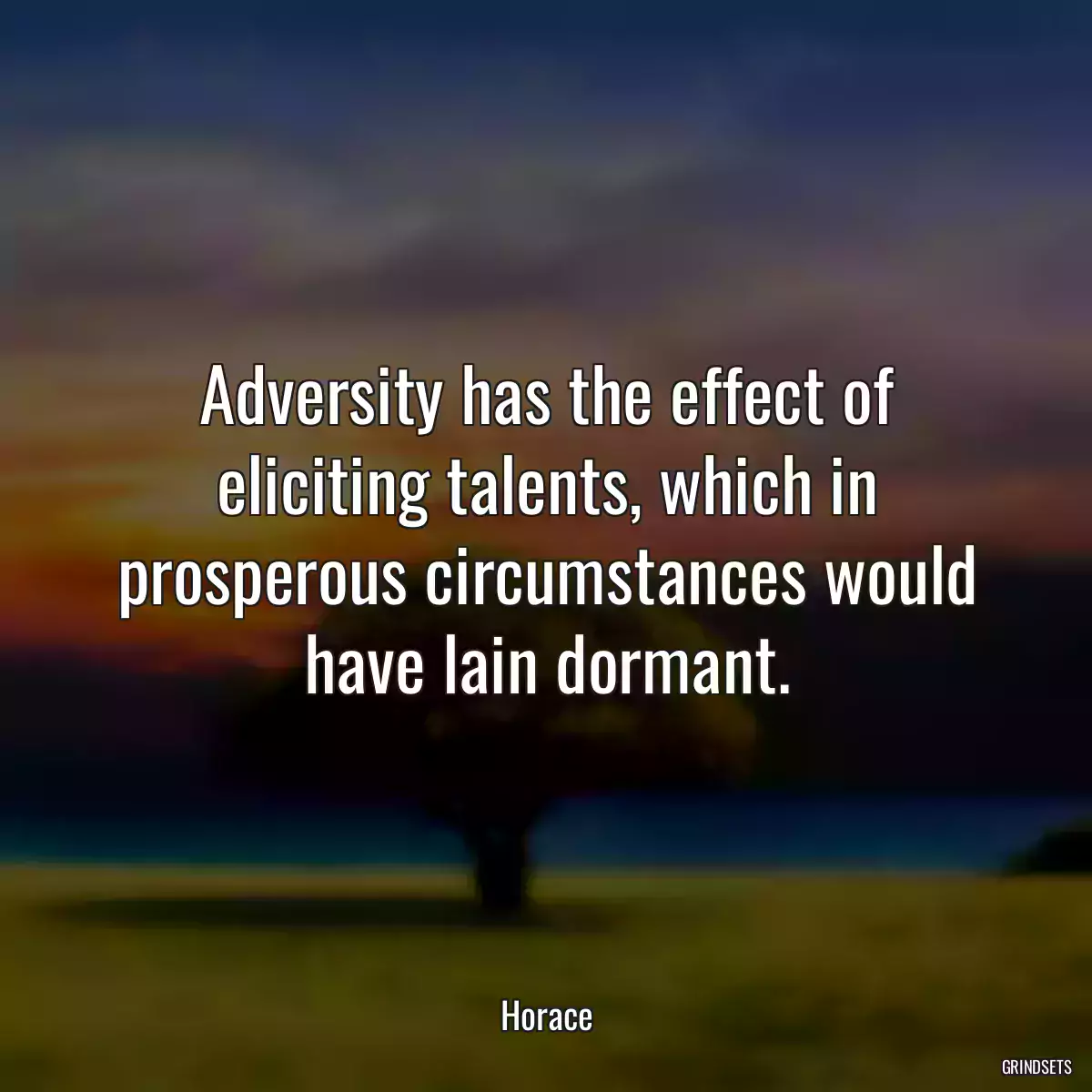 Adversity has the effect of eliciting talents, which in prosperous circumstances would have lain dormant.