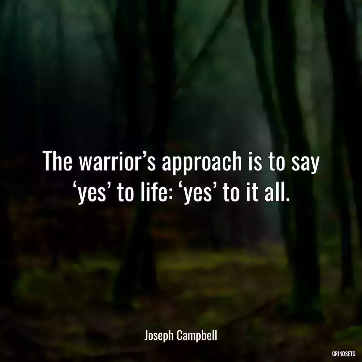 The warrior’s approach is to say ‘yes’ to life: ‘yes’ to it all.