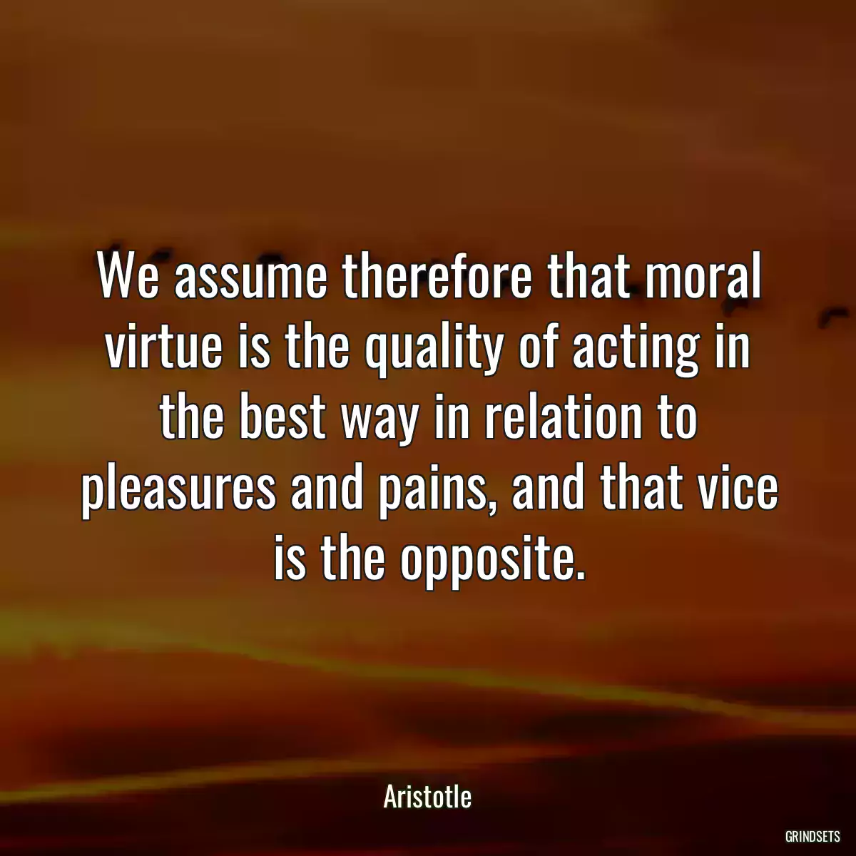 We assume therefore that moral virtue is the quality of acting in the best way in relation to pleasures and pains, and that vice is the opposite.
